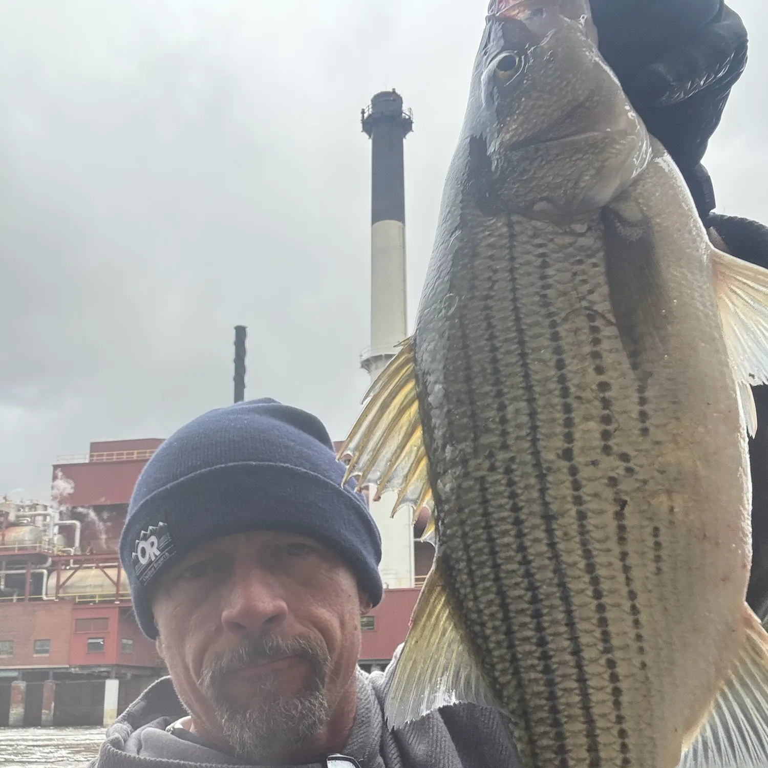 Wiper caught on Fishbrain