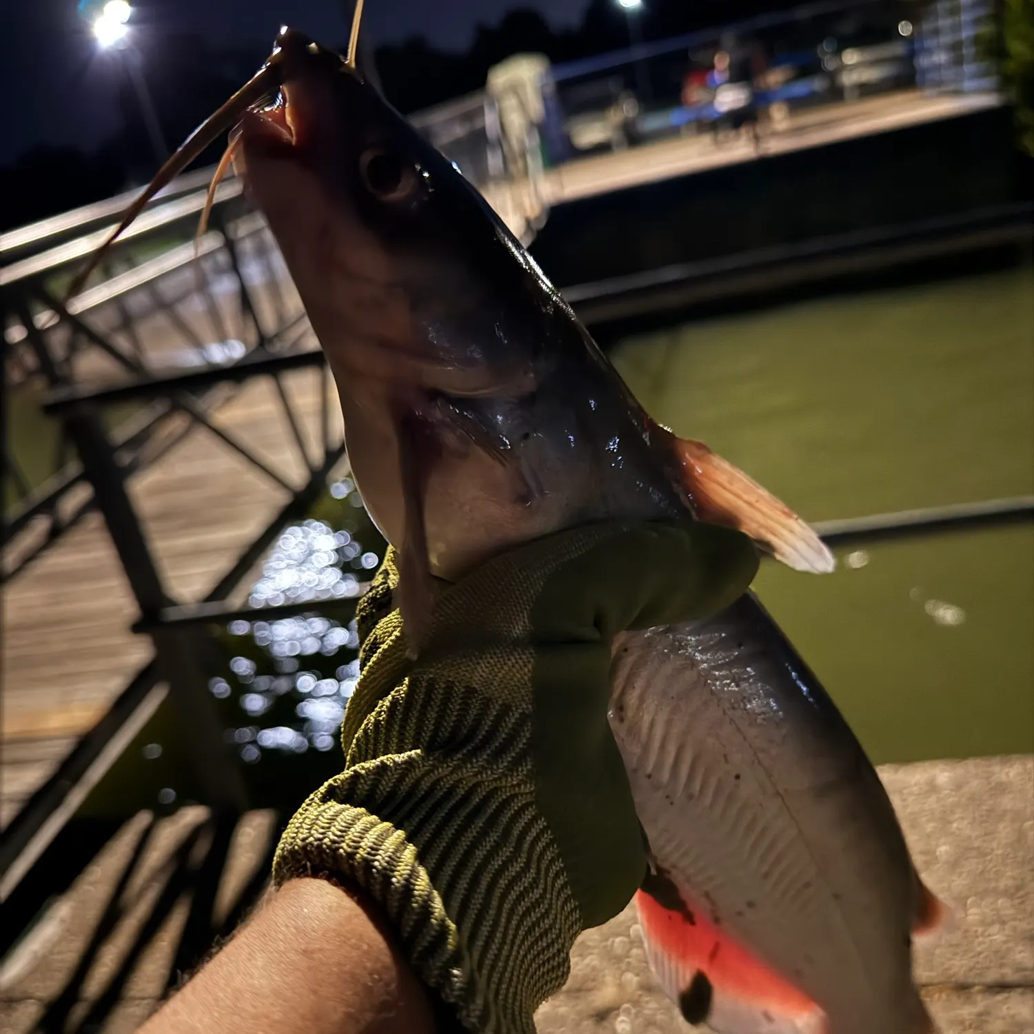 catch