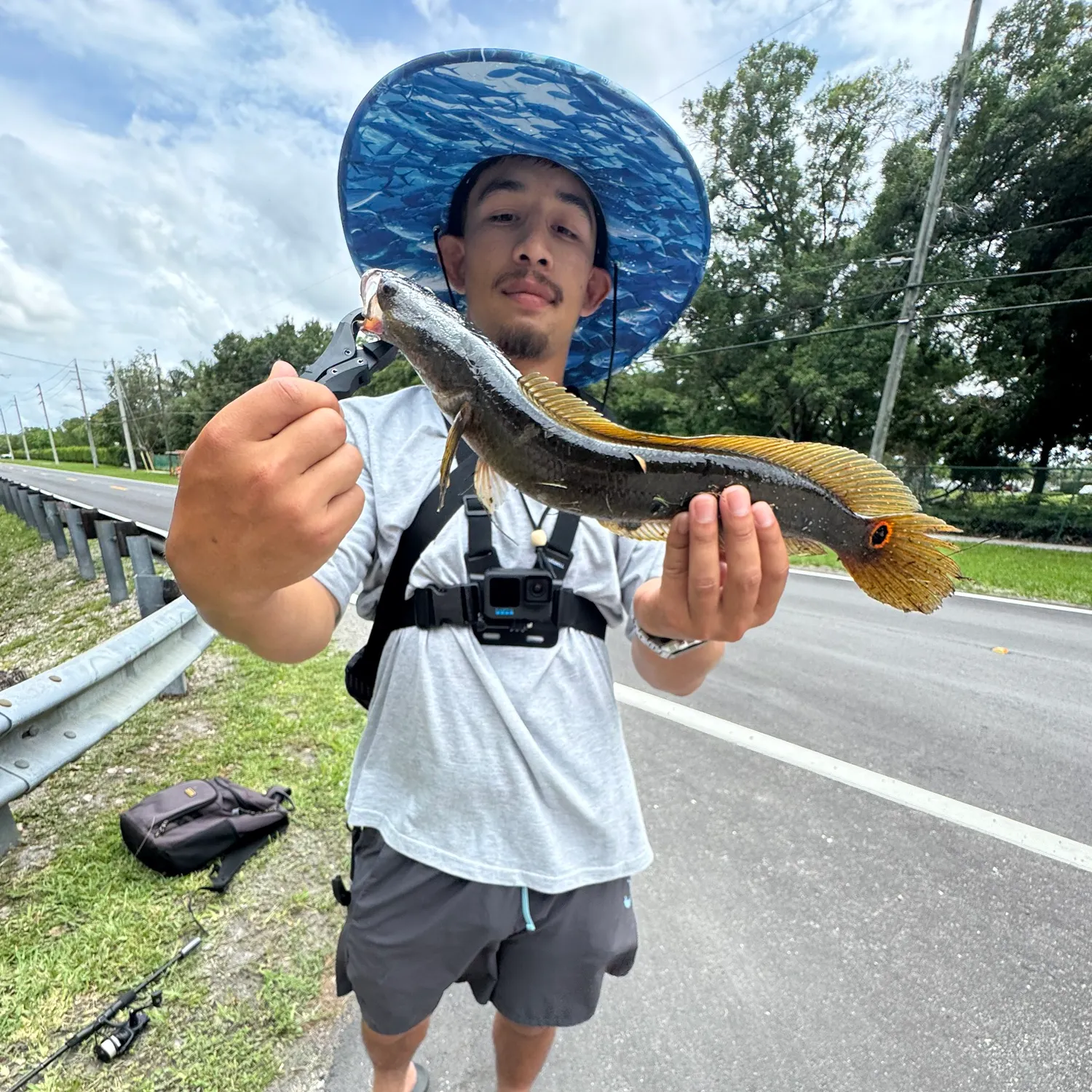 The most recent Bullseye snakehead catches on Fishbrain