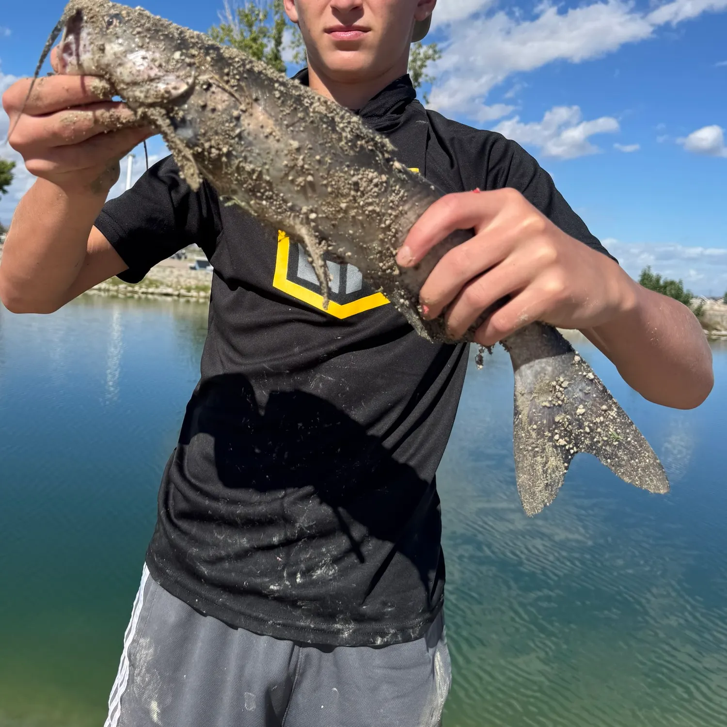Channel catfish caught on Fishbrain