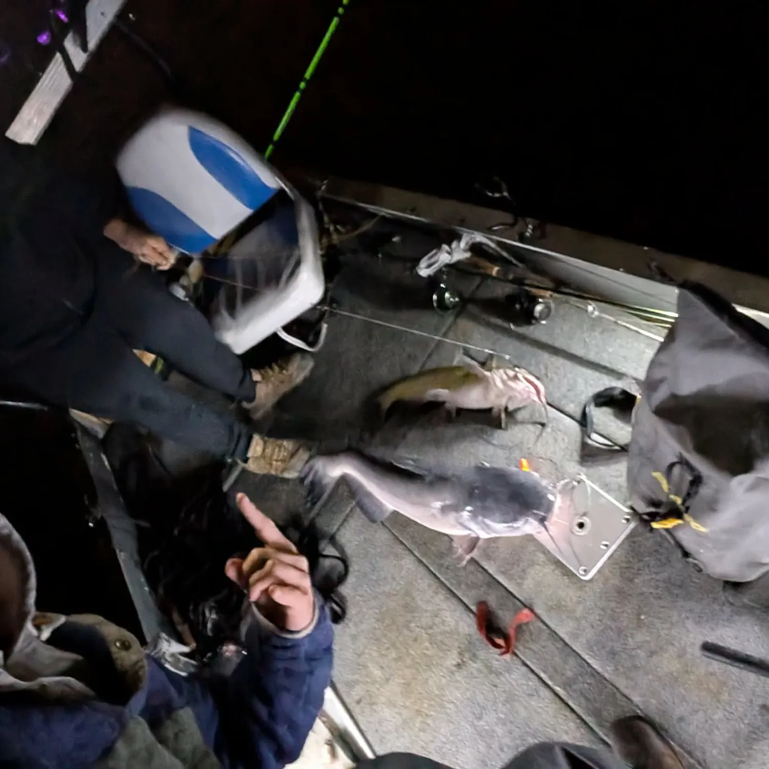 Channel catfish caught on Fishbrain