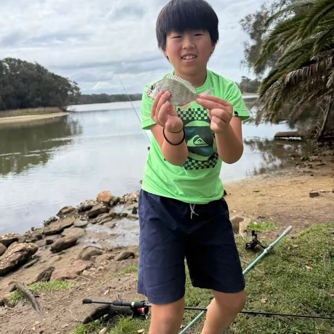 Redbelly tilapia caught on Fishbrain