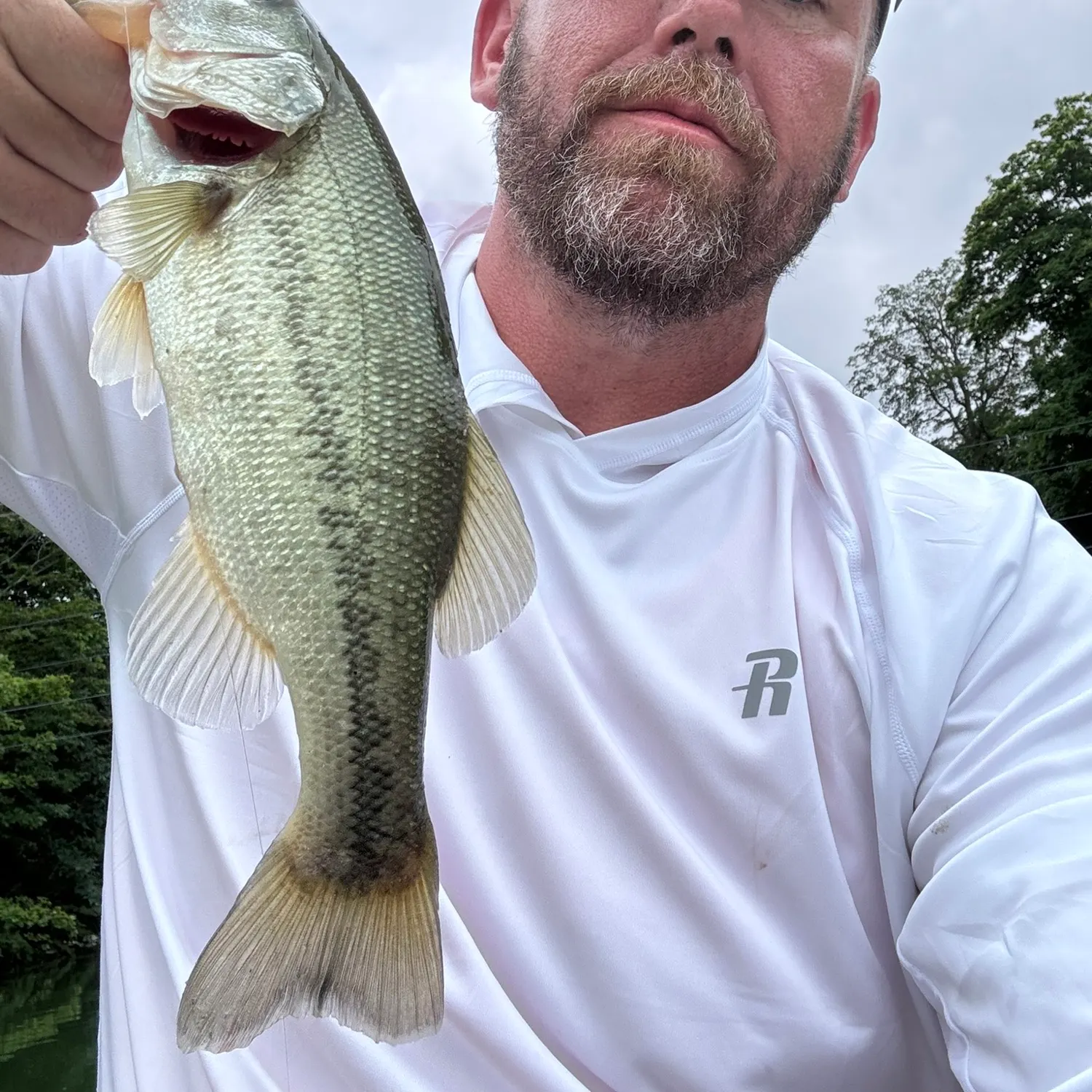 Largemouth bass caught on Fishbrain