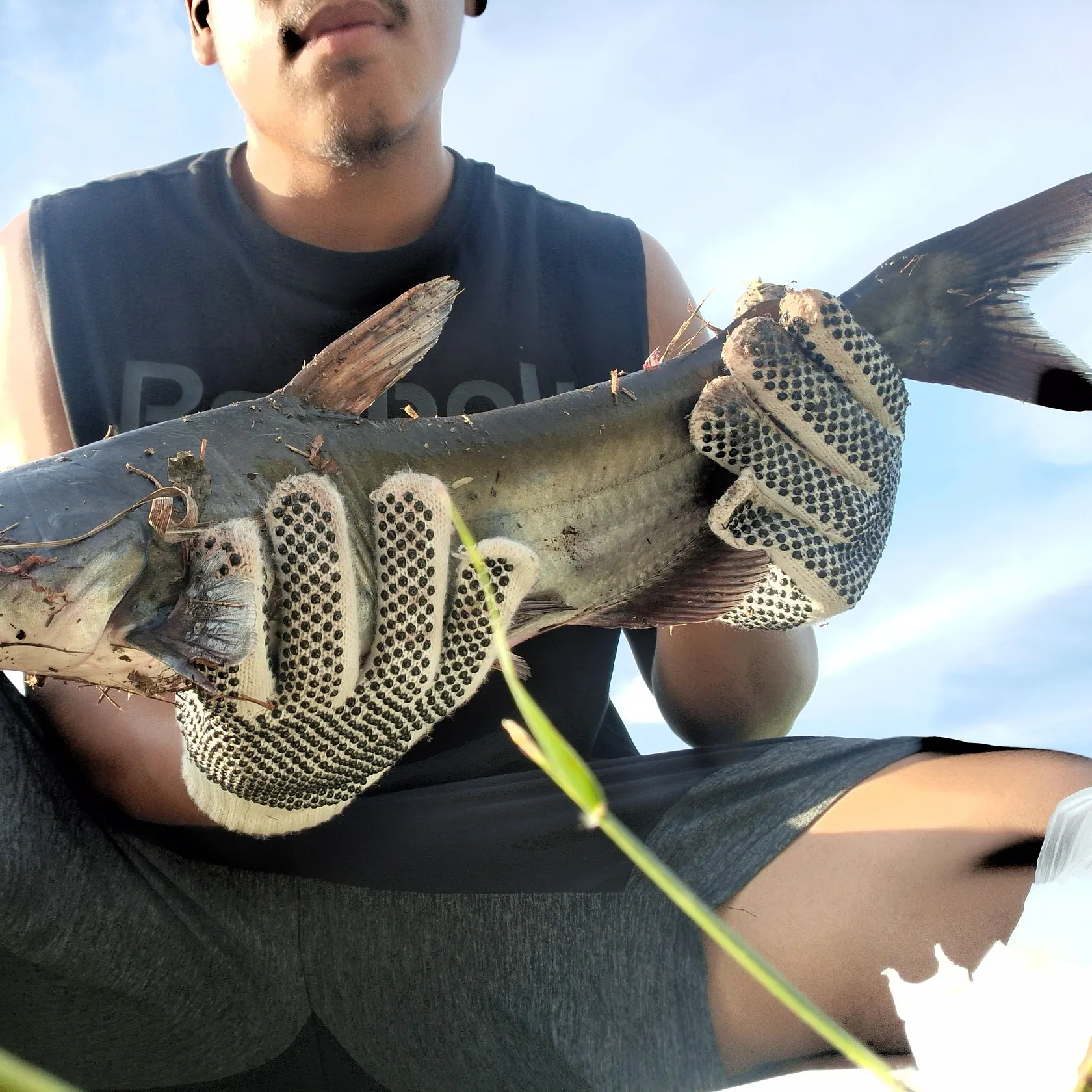 Blue catfish caught on Fishbrain