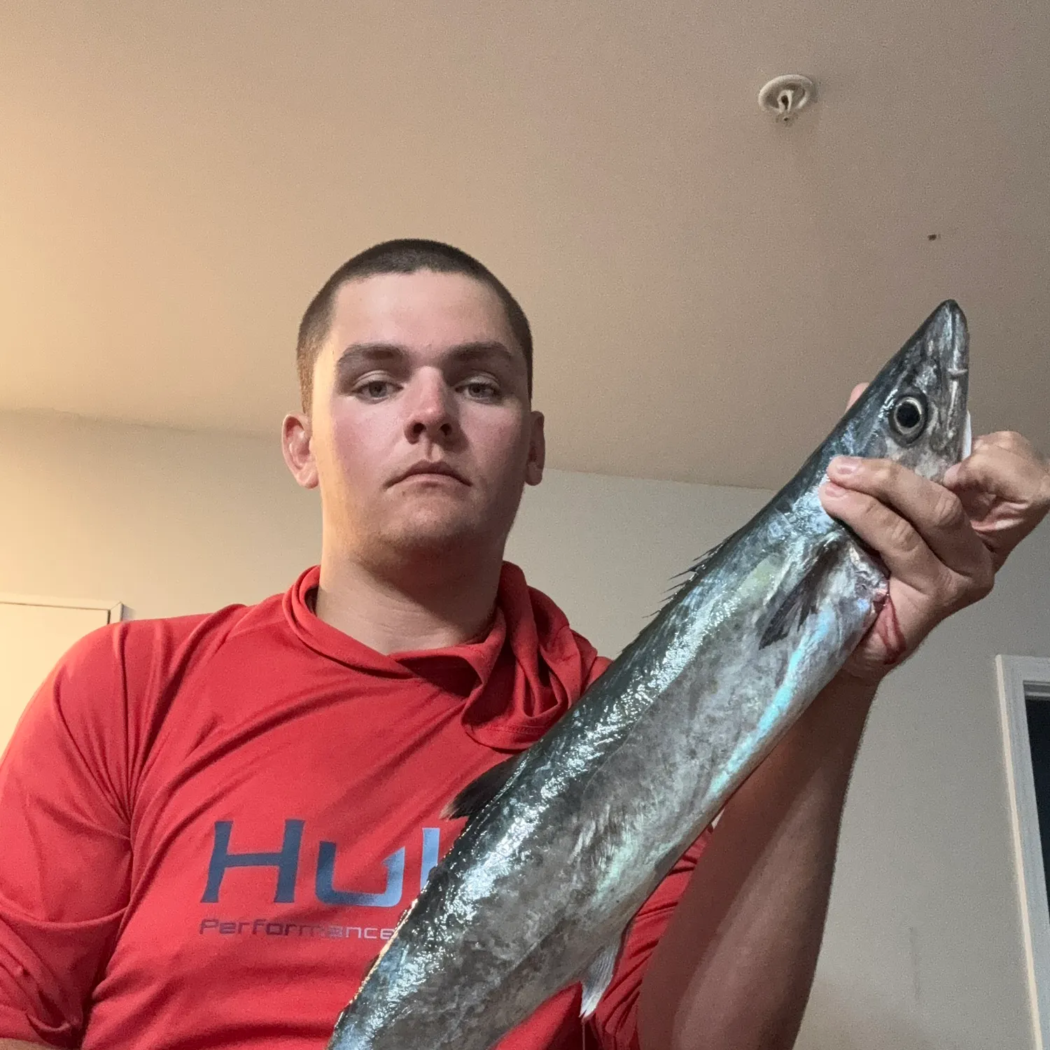 The most recent King mackerel catches on Fishbrain