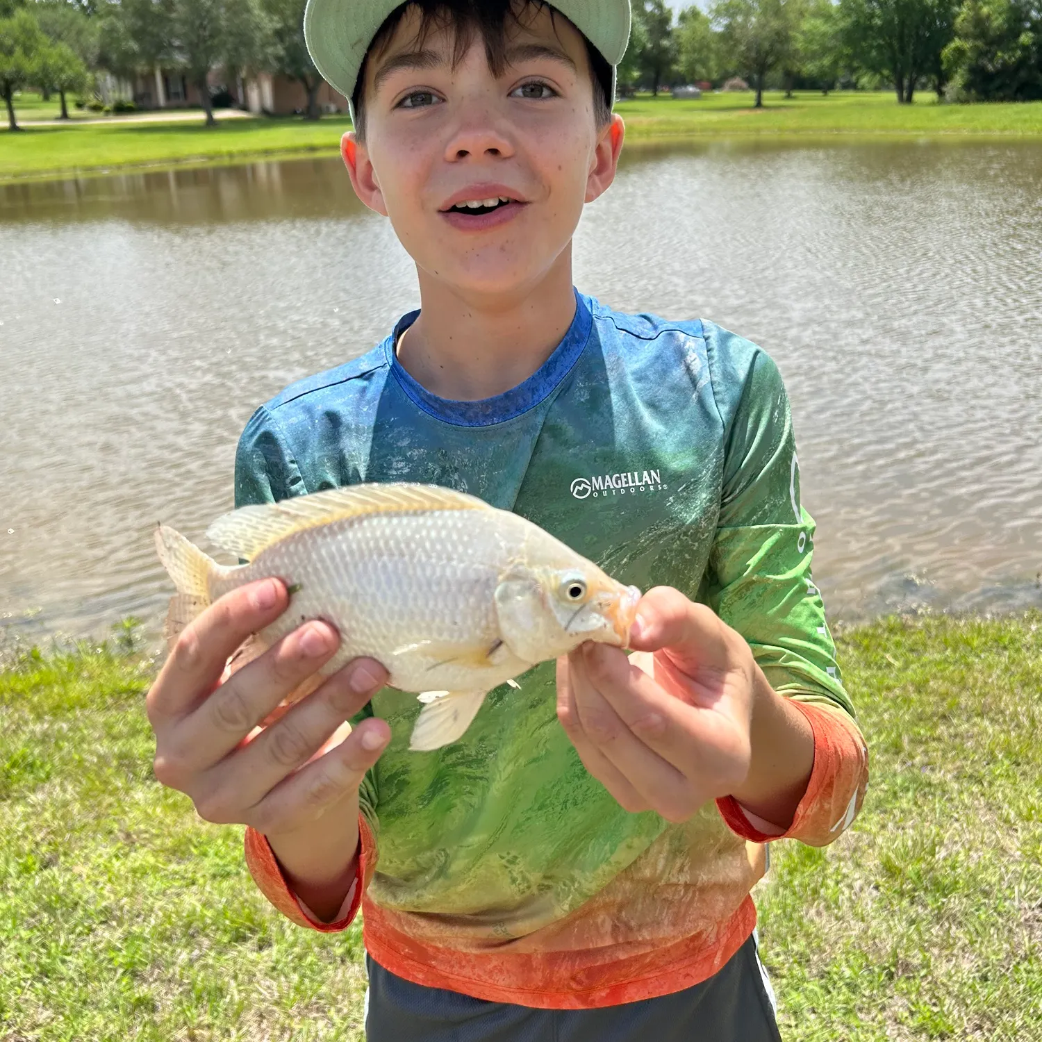 The most recent Longfin tilapia catches on Fishbrain