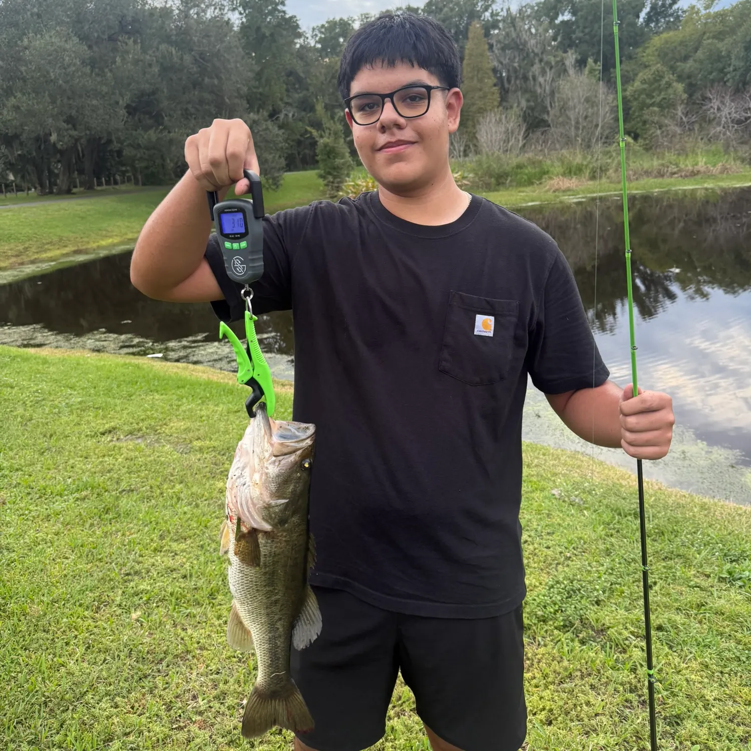 Largemouth bass caught on Fishbrain