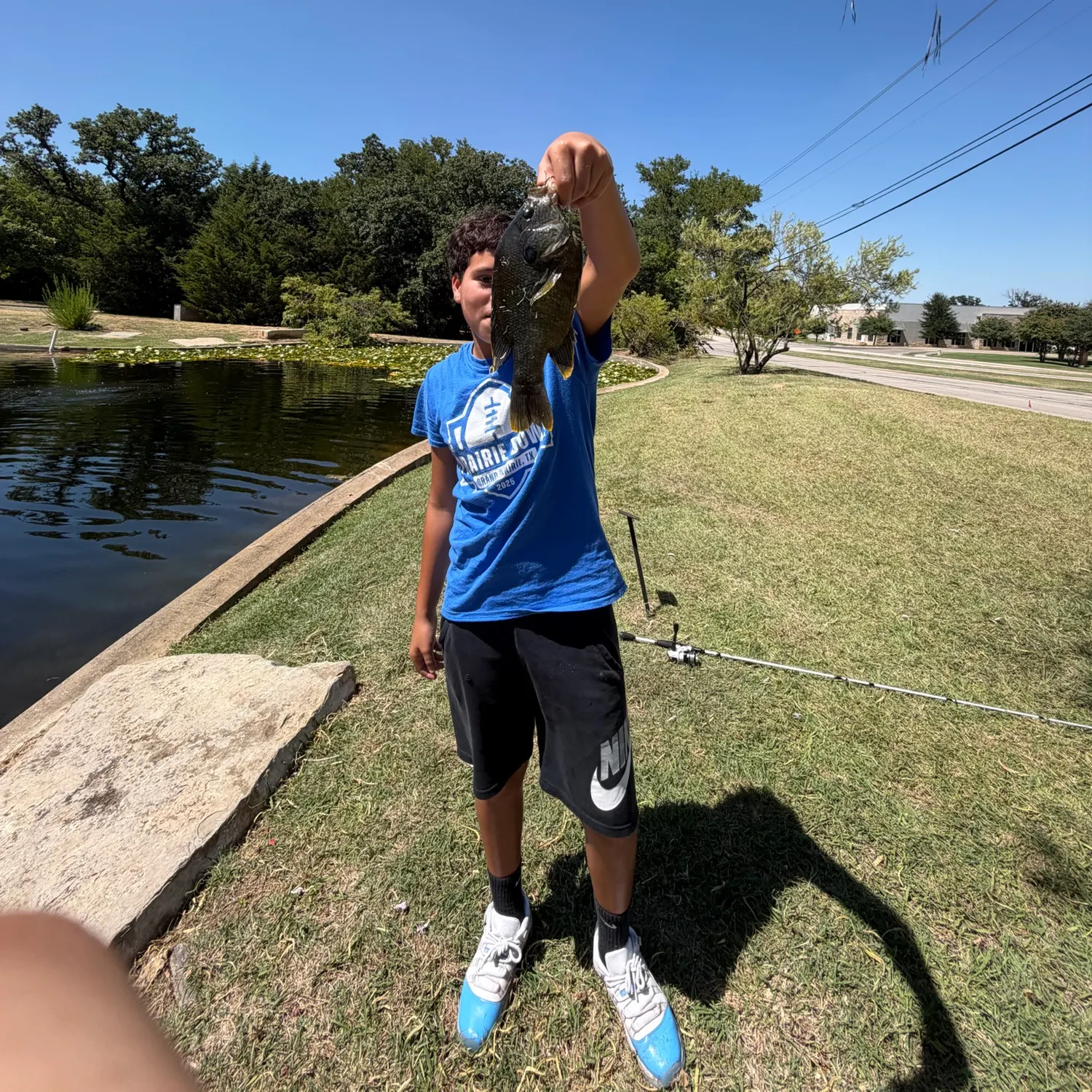 Greengill hybrid caught on Fishbrain