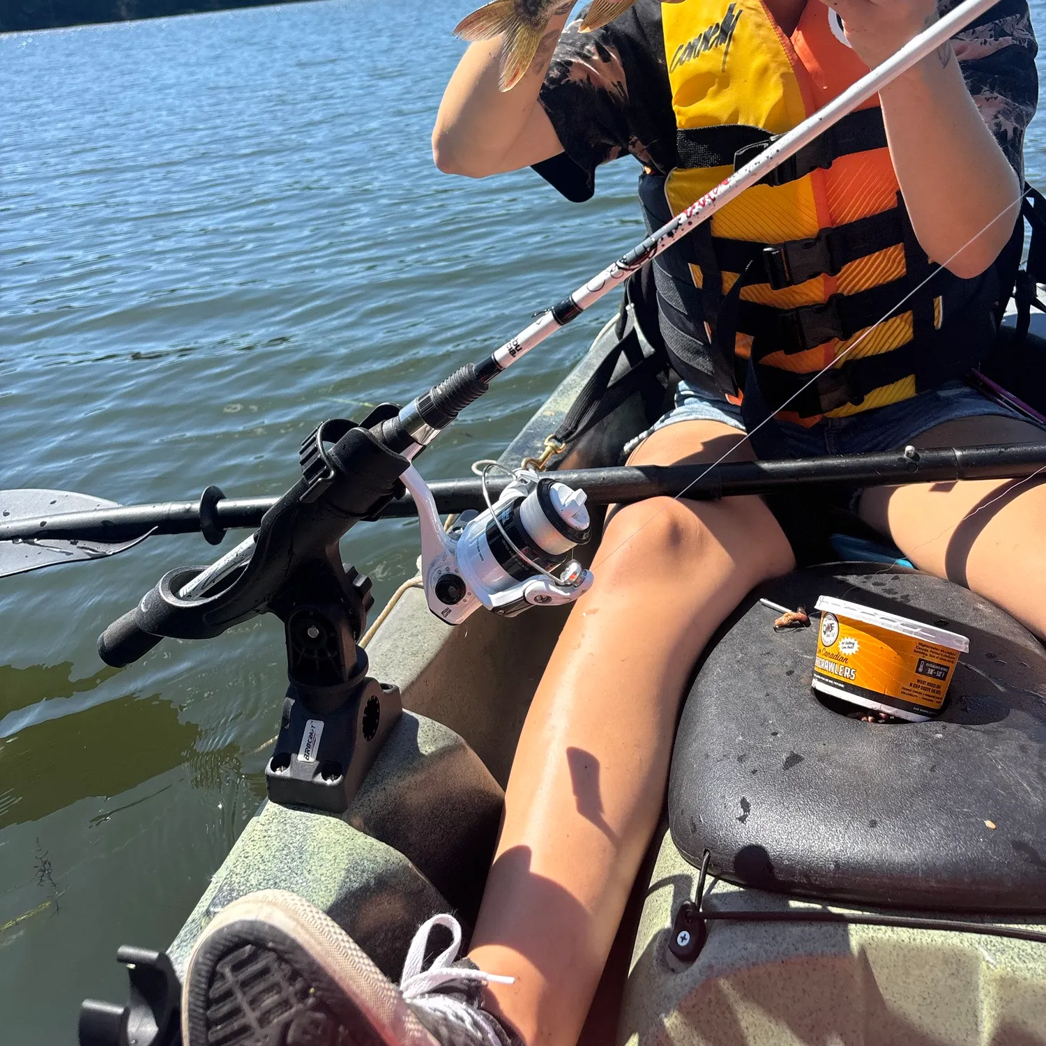 Chain pickerel caught on Fishbrain