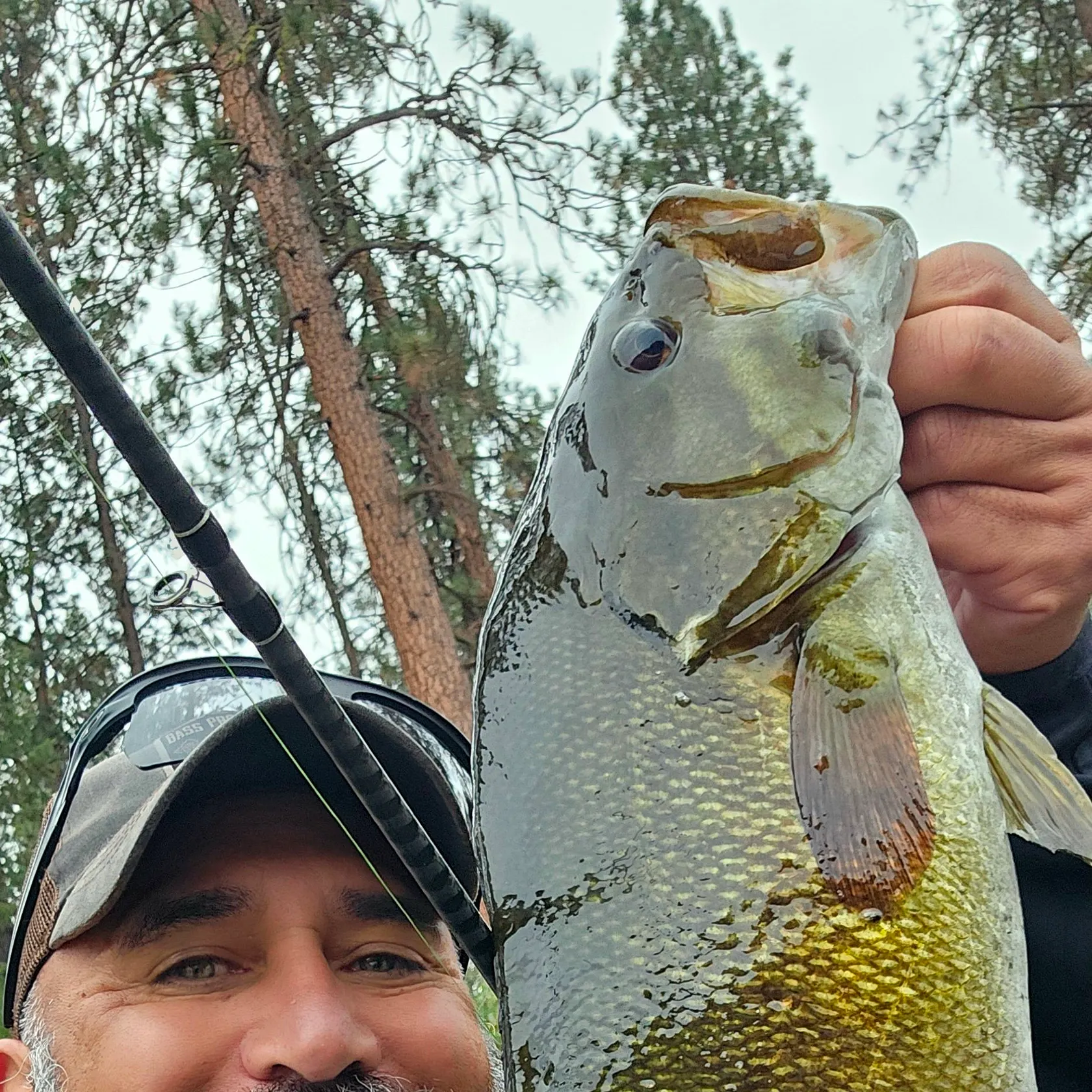 Smallmouth bass caught on Fishbrain