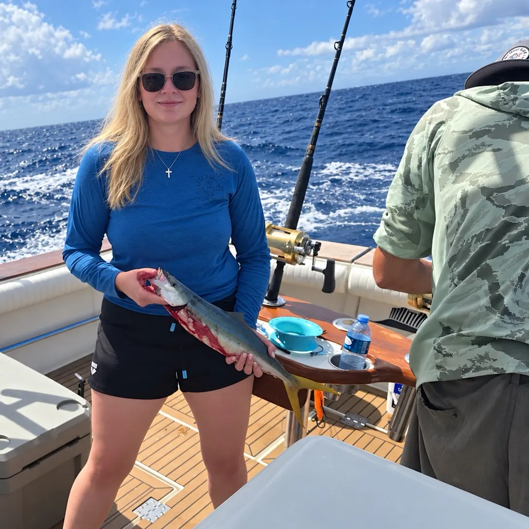 The most recent Rainbow runner catches on Fishbrain