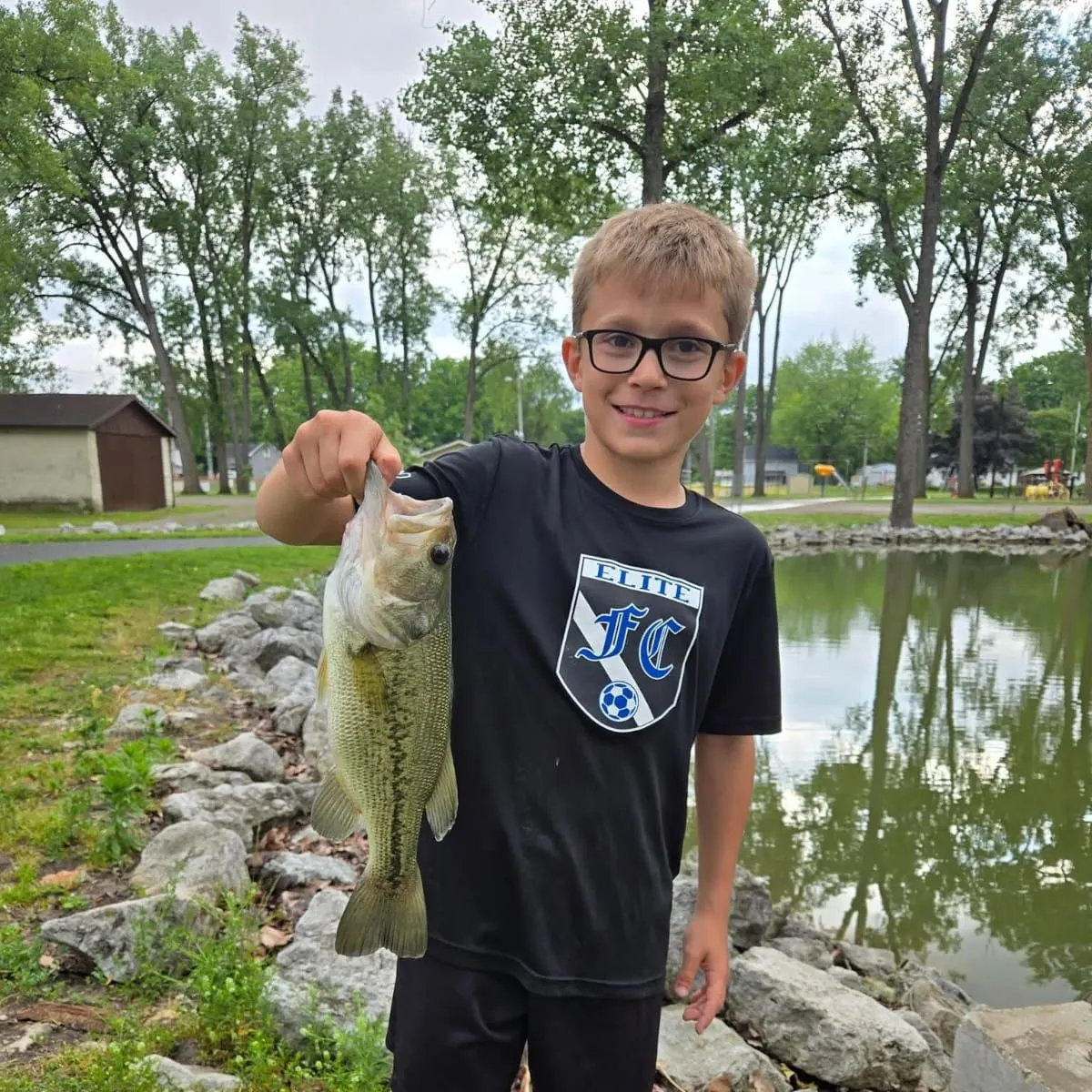 Largemouth bass caught on Fishbrain