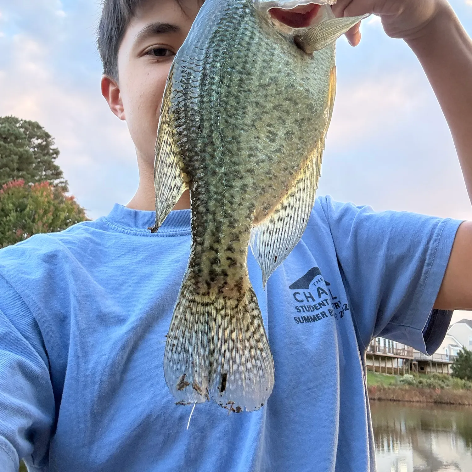 Black crappie caught on Fishbrain