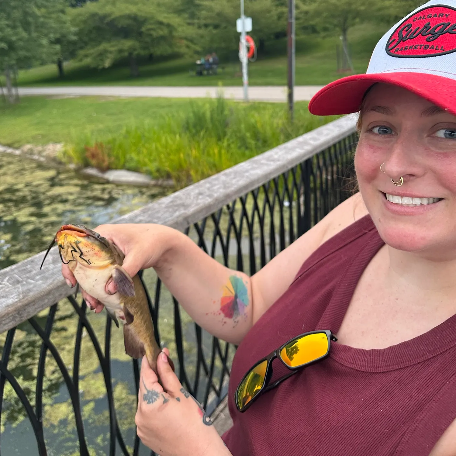 Yellow bullhead caught on Fishbrain