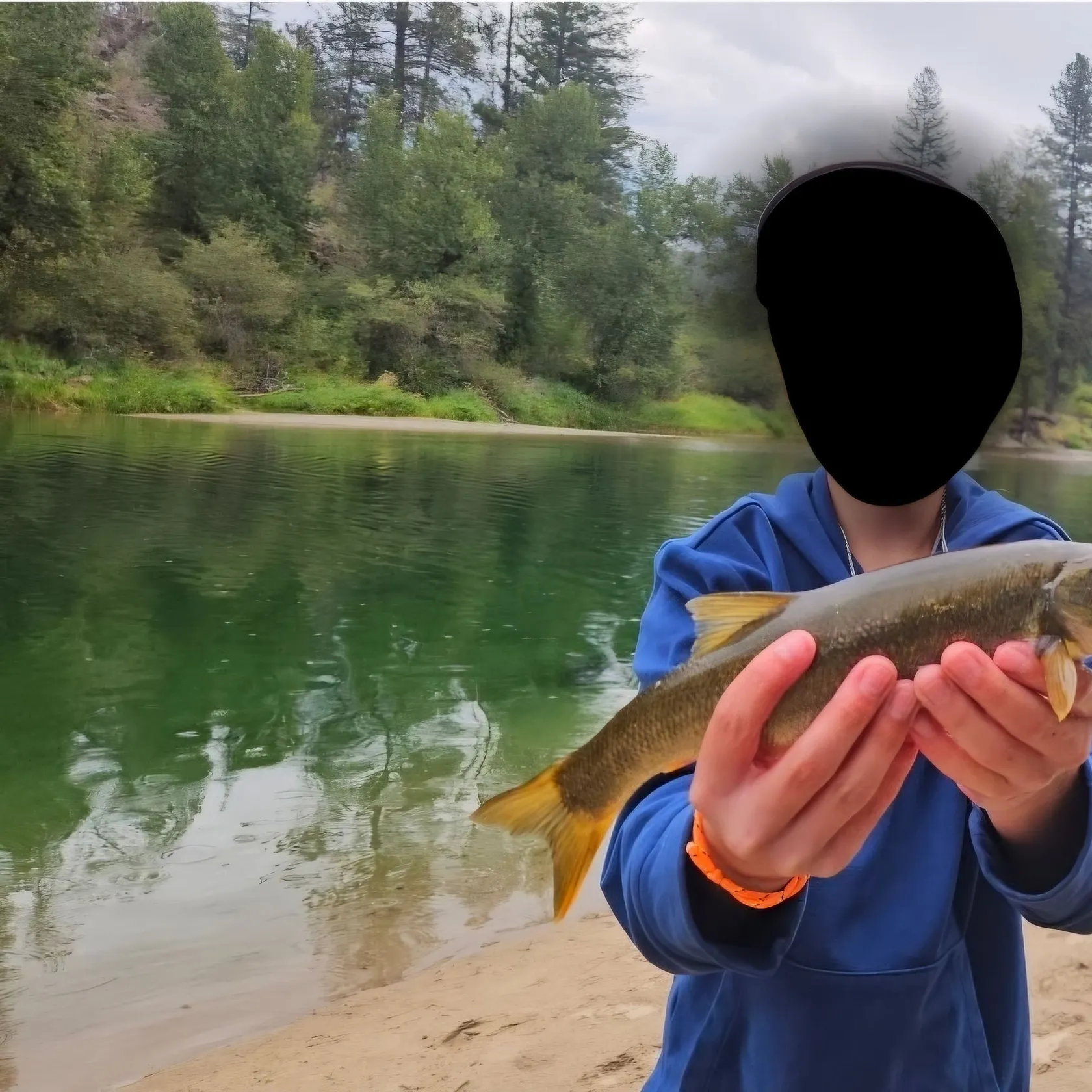 Northern pikeminnow caught on Fishbrain