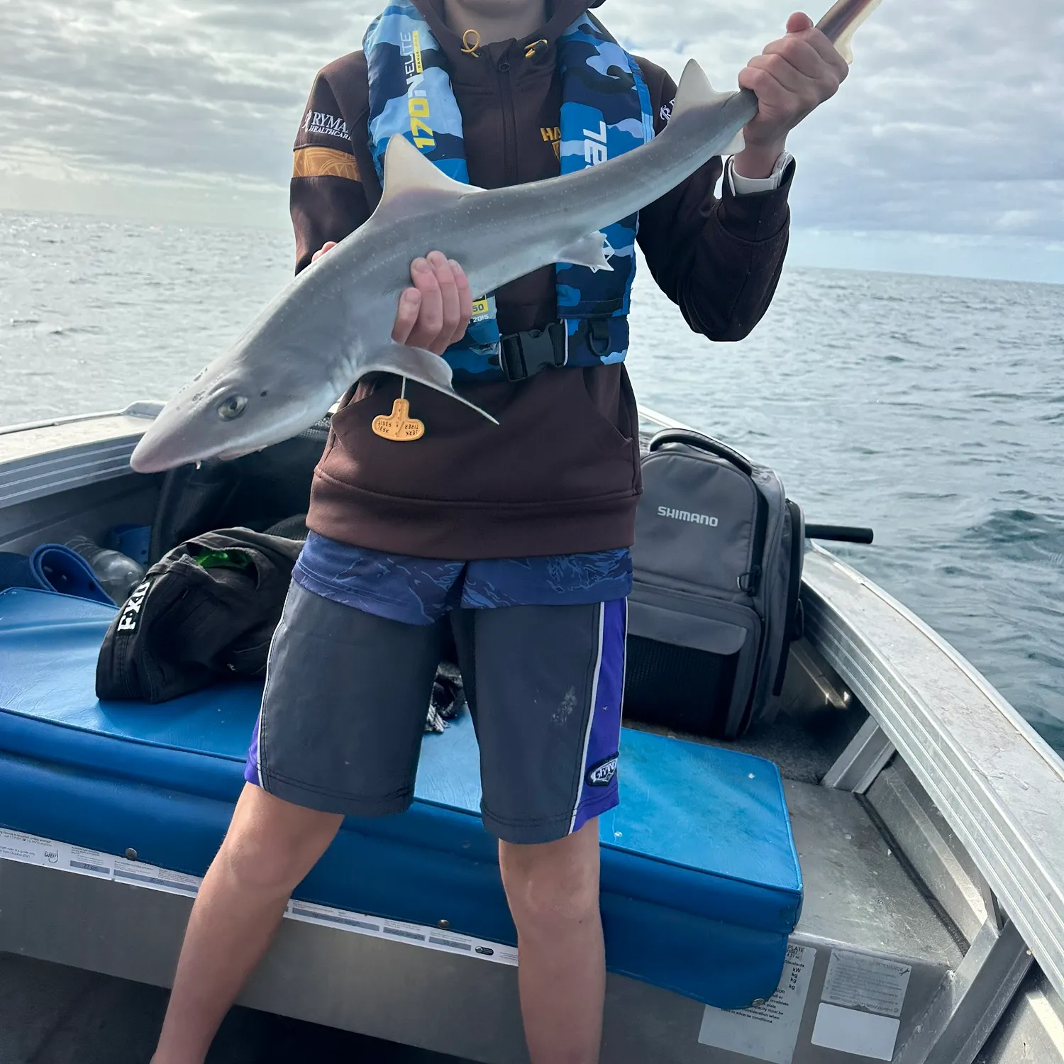 The most recent Gummy shark catches on Fishbrain