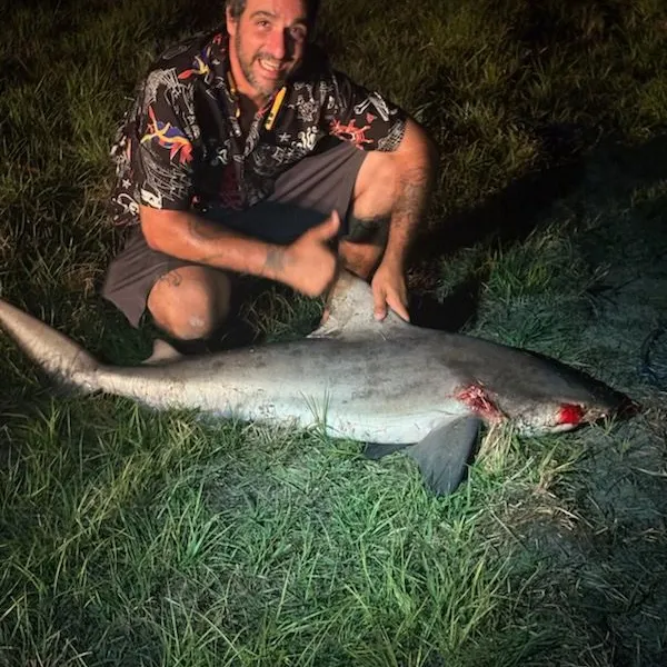 The most recent Bull shark catches on Fishbrain
