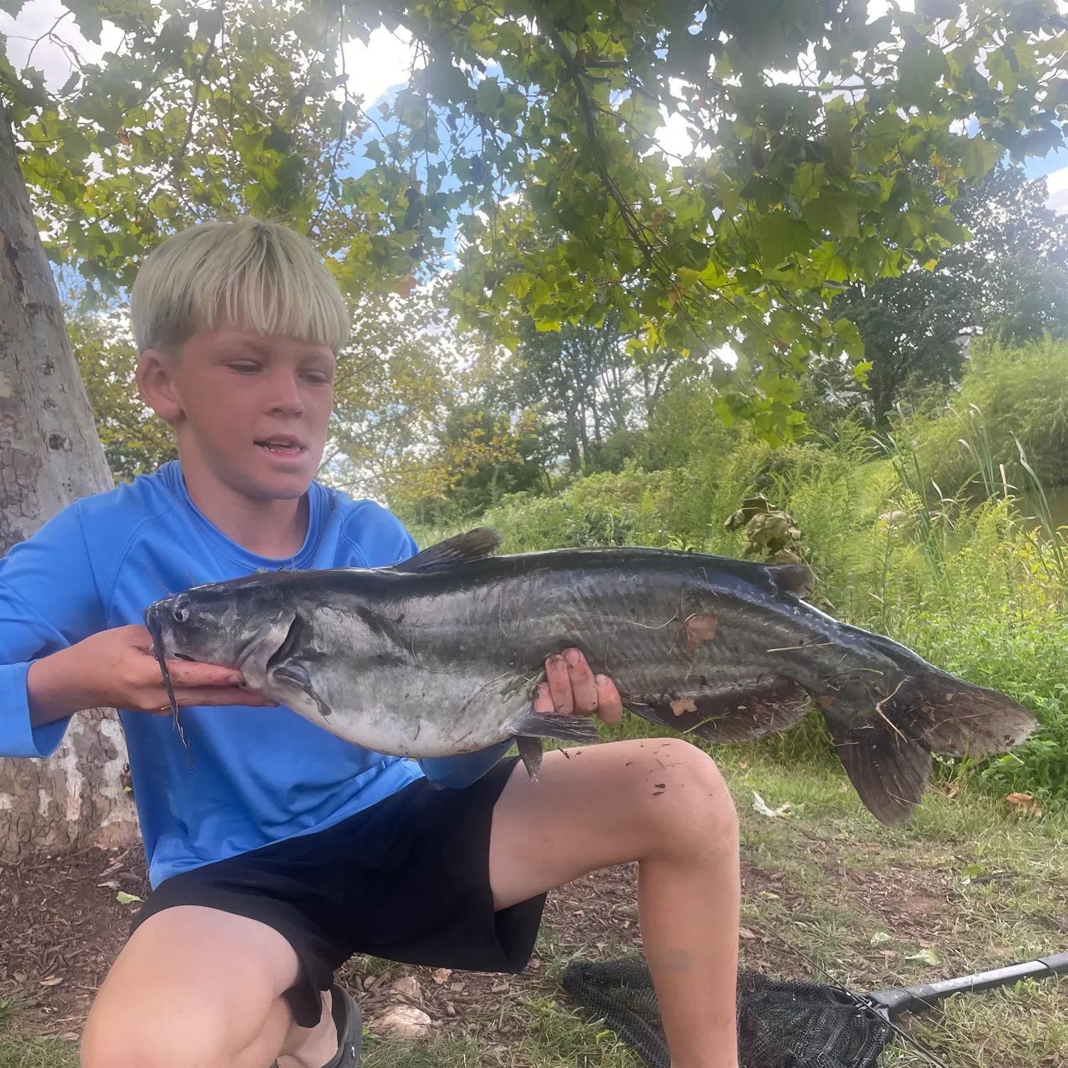 Channel catfish caught on Fishbrain