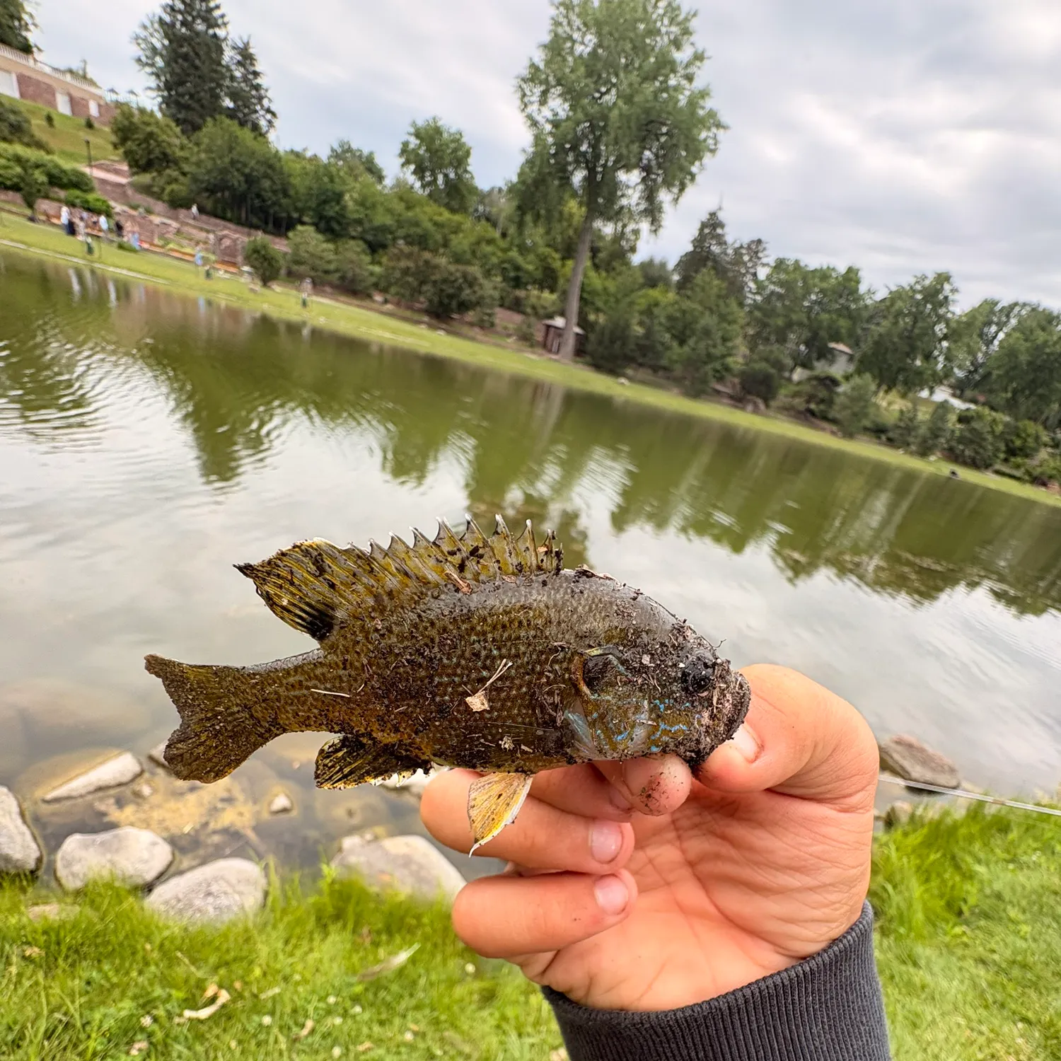 catch