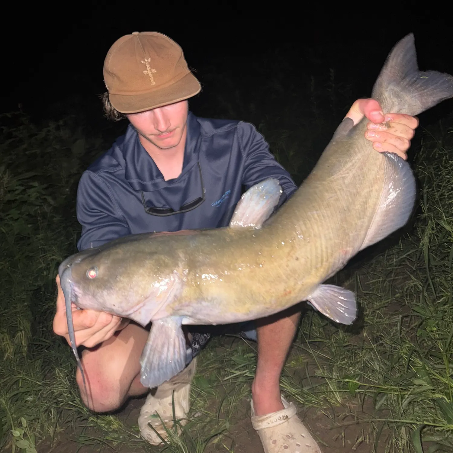 Channel catfish caught on Fishbrain