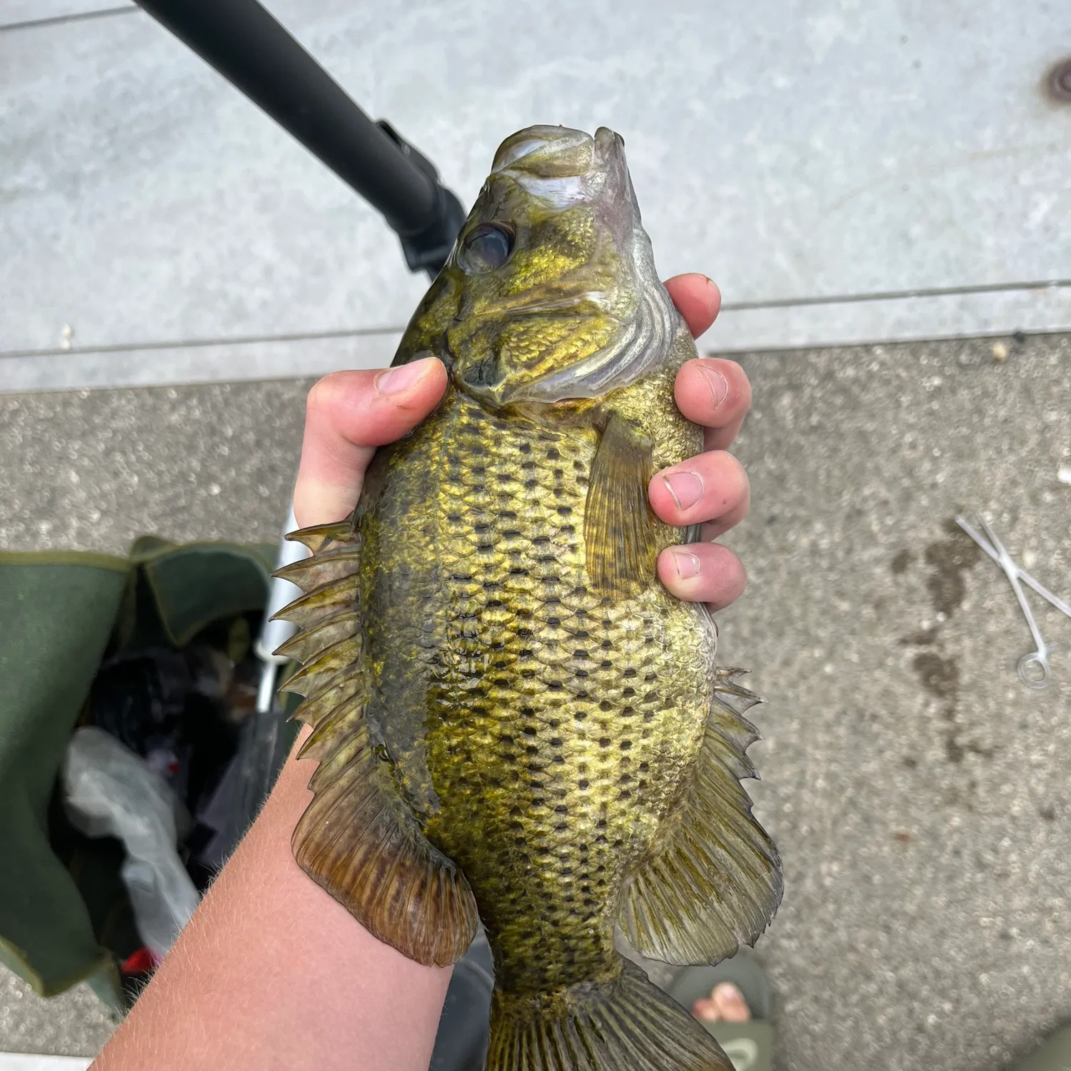 most liked catch image