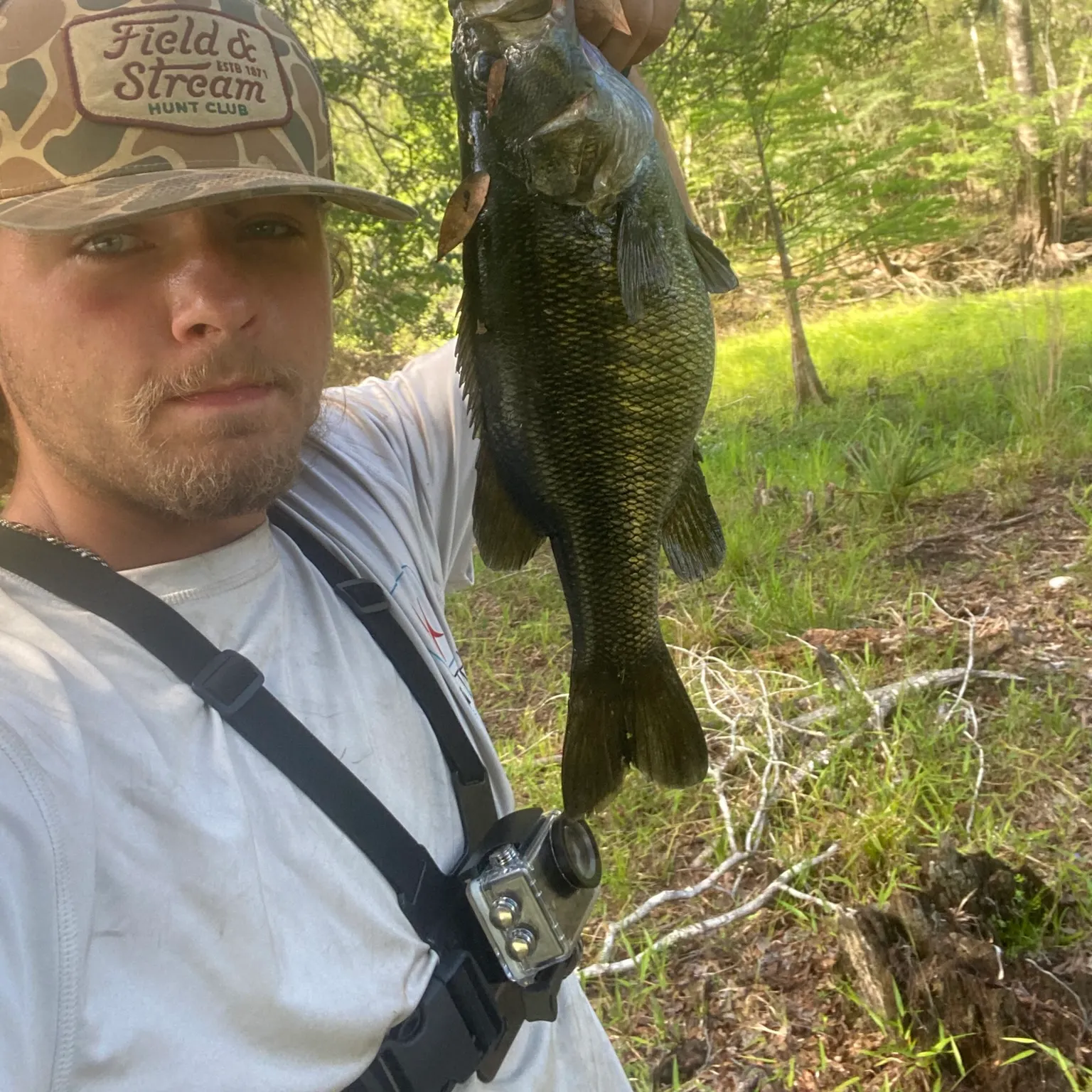 The most recent Suwannee bass catches on Fishbrain