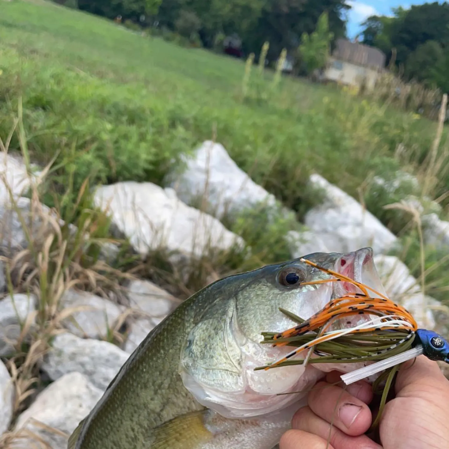 ᐅ Wilber Reservoir Number 1 fishing reports🎣• Wilber, NE (United States ...