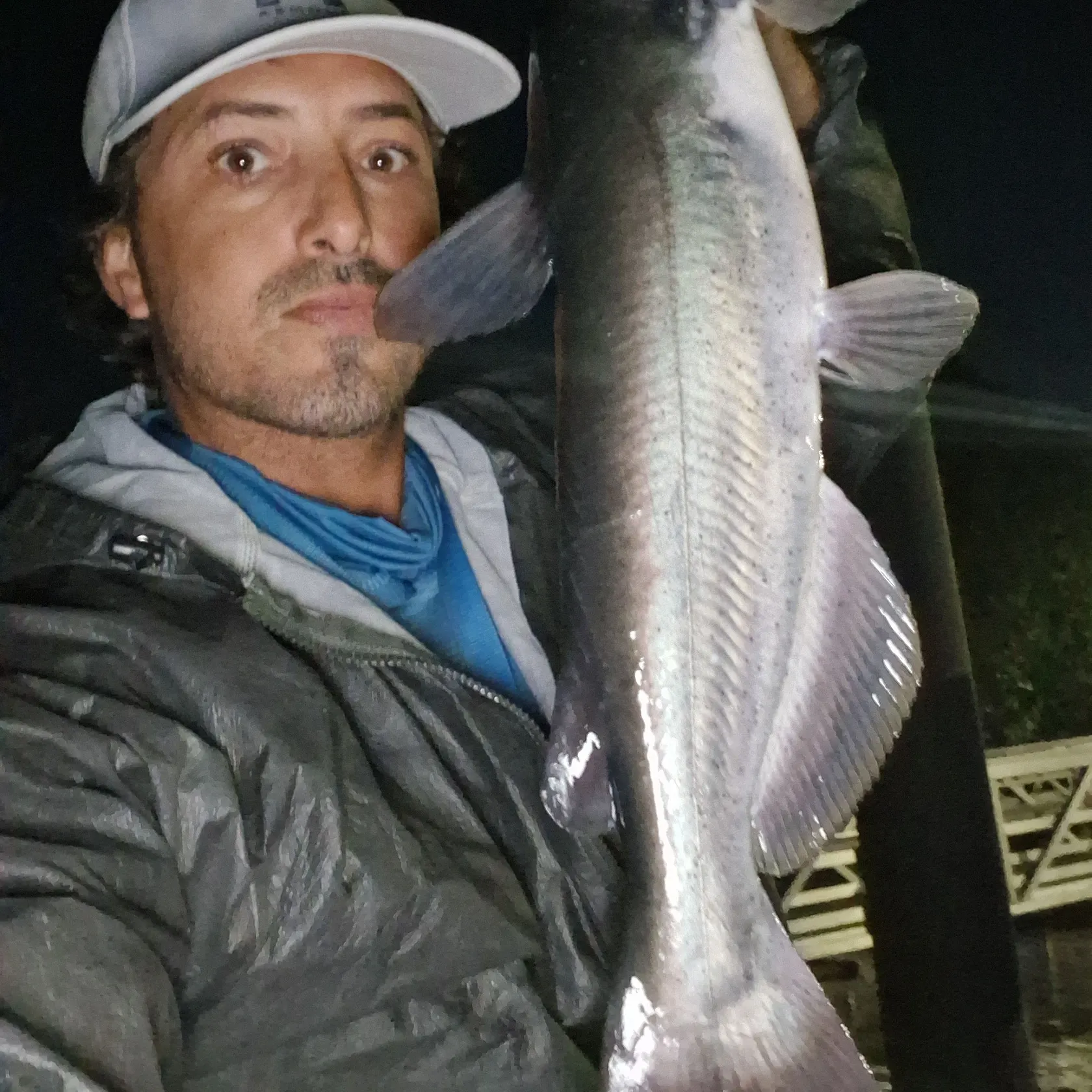 Channel catfish caught on Fishbrain