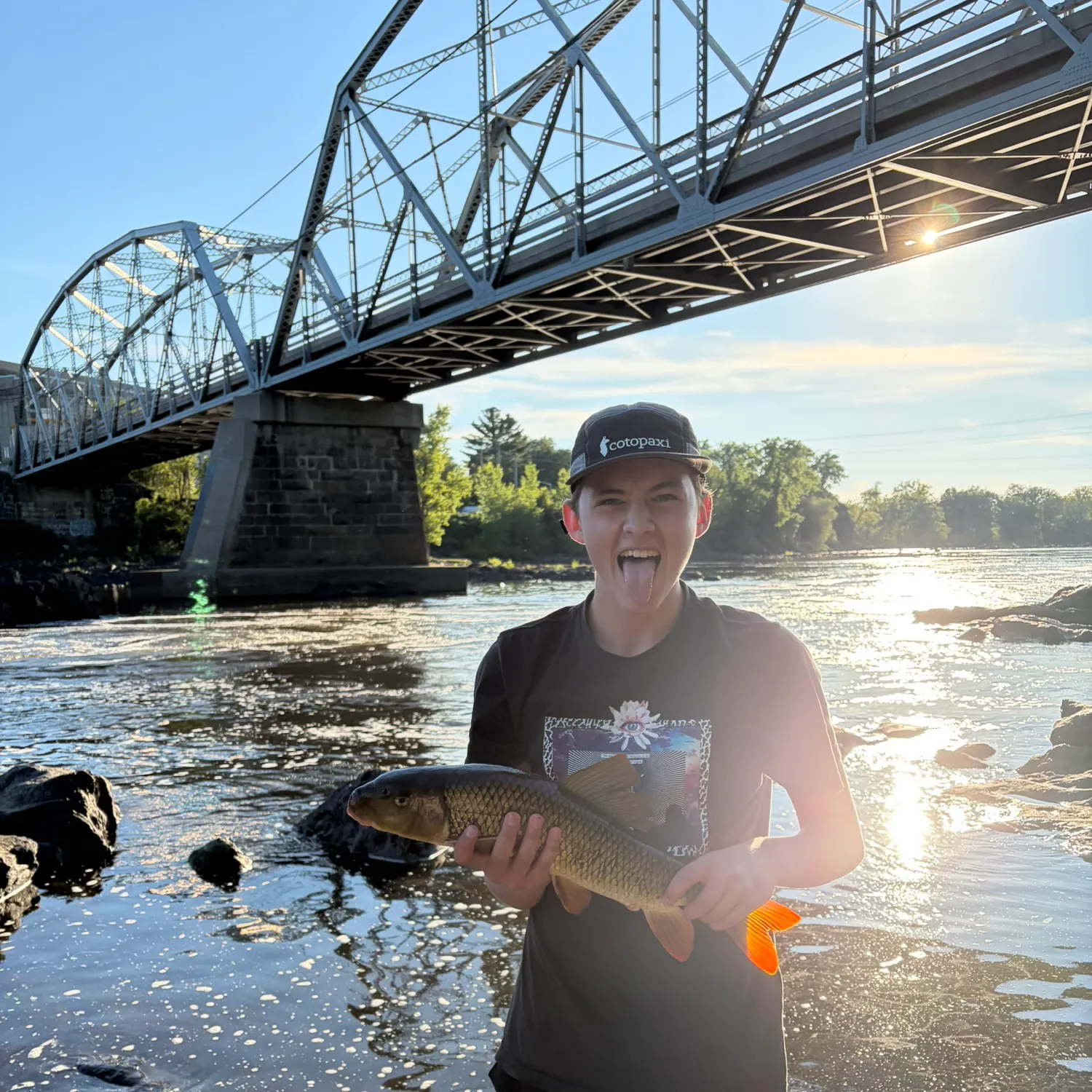 Common carp caught on Fishbrain