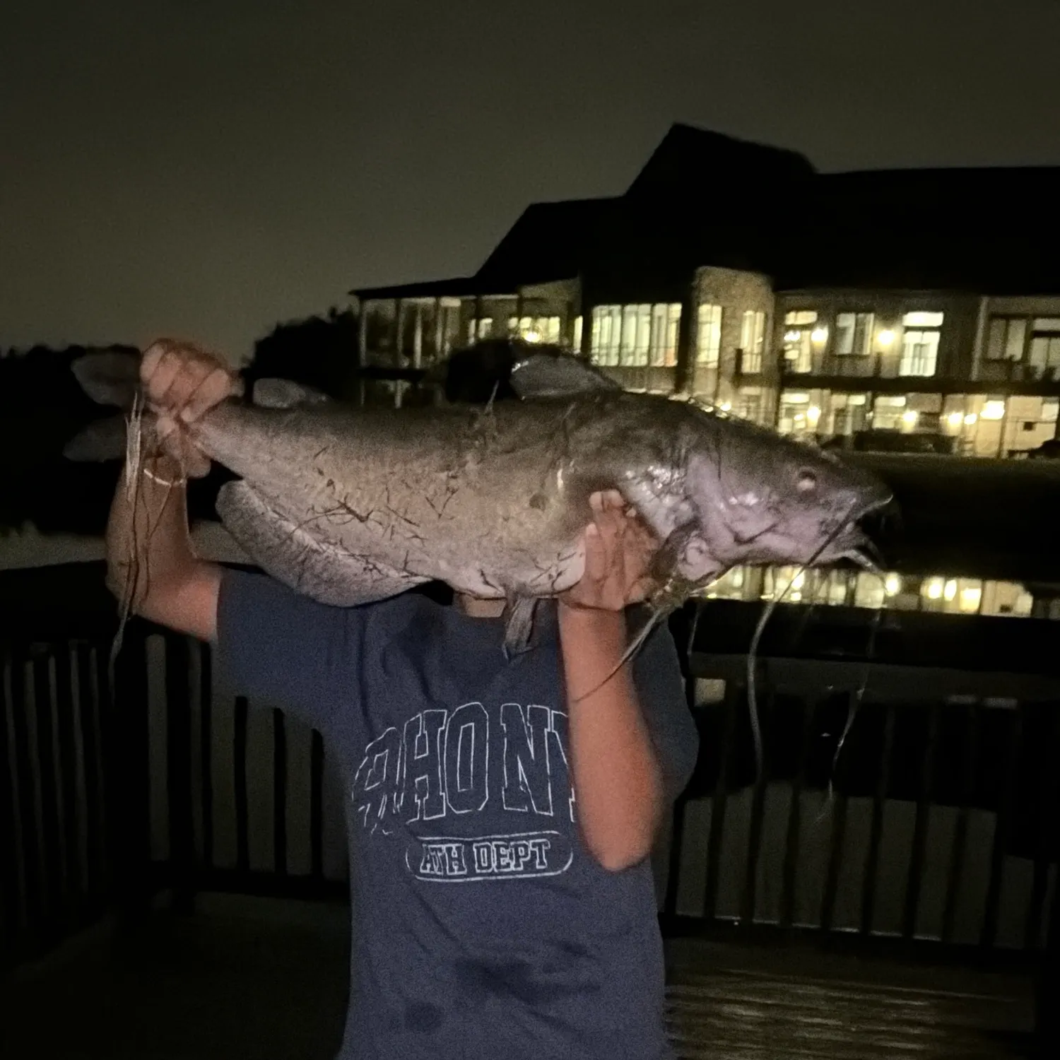 Channel catfish caught on Fishbrain