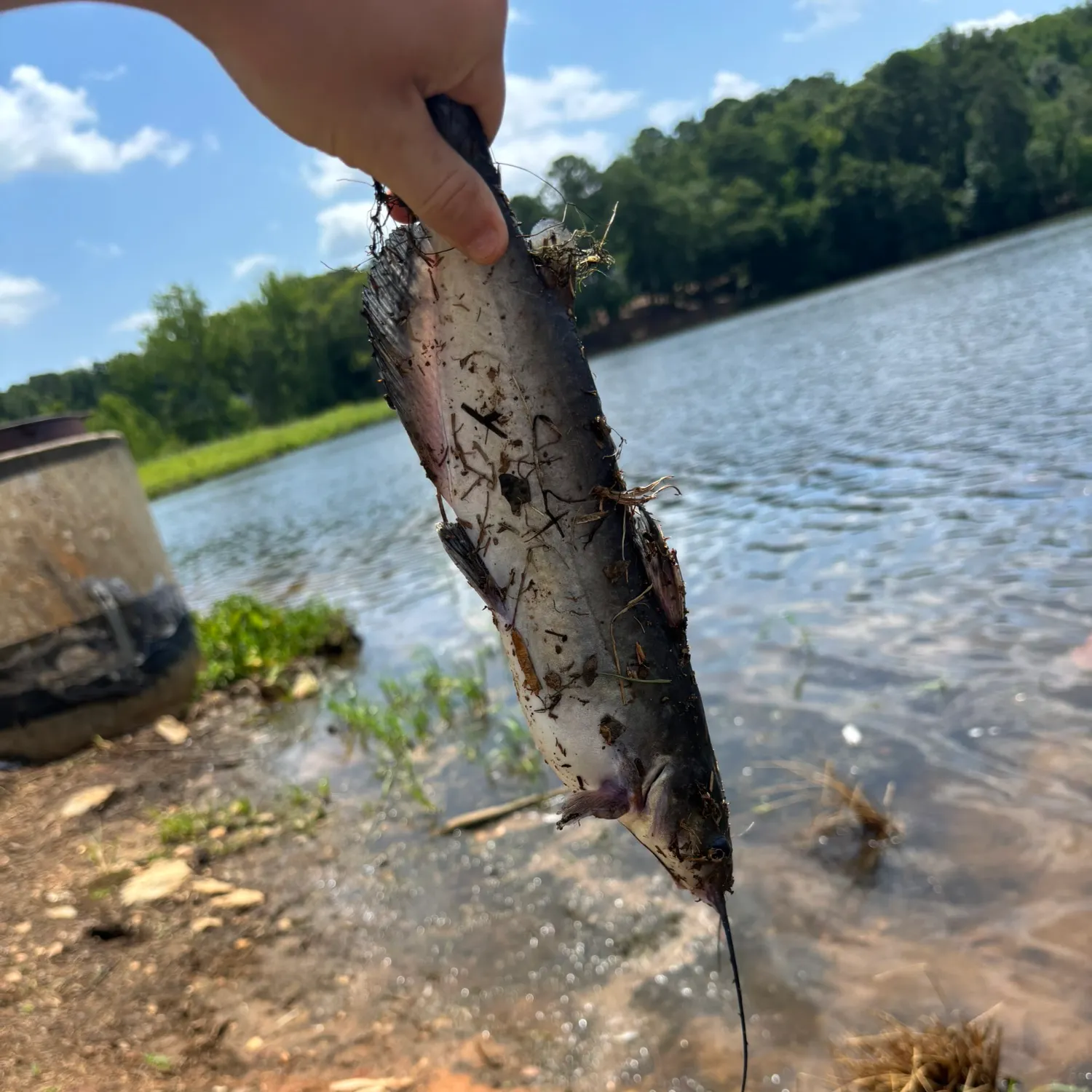 catch