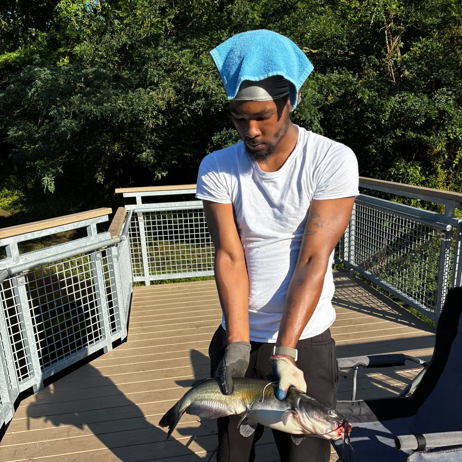 Channel catfish caught on Fishbrain