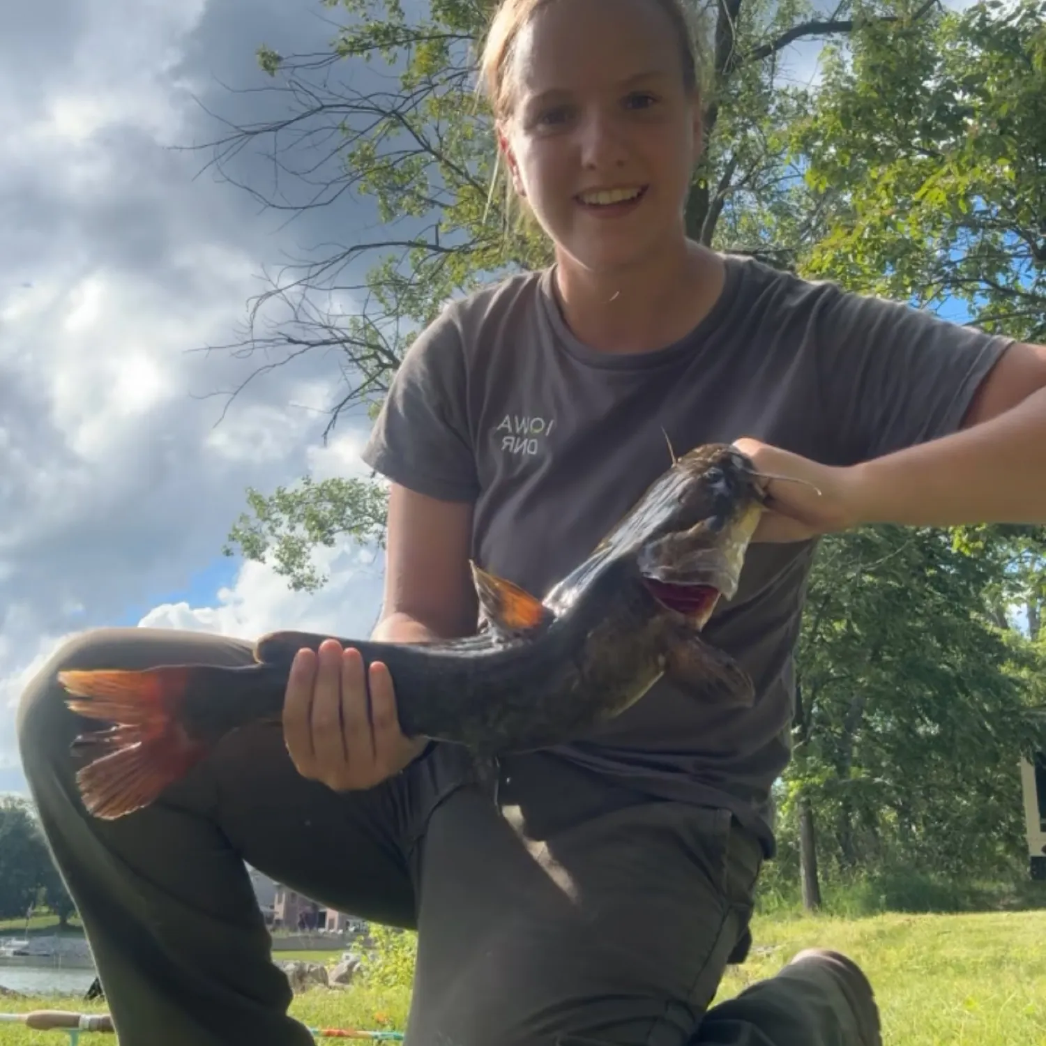 The most recent Flathead catfish catches on Fishbrain