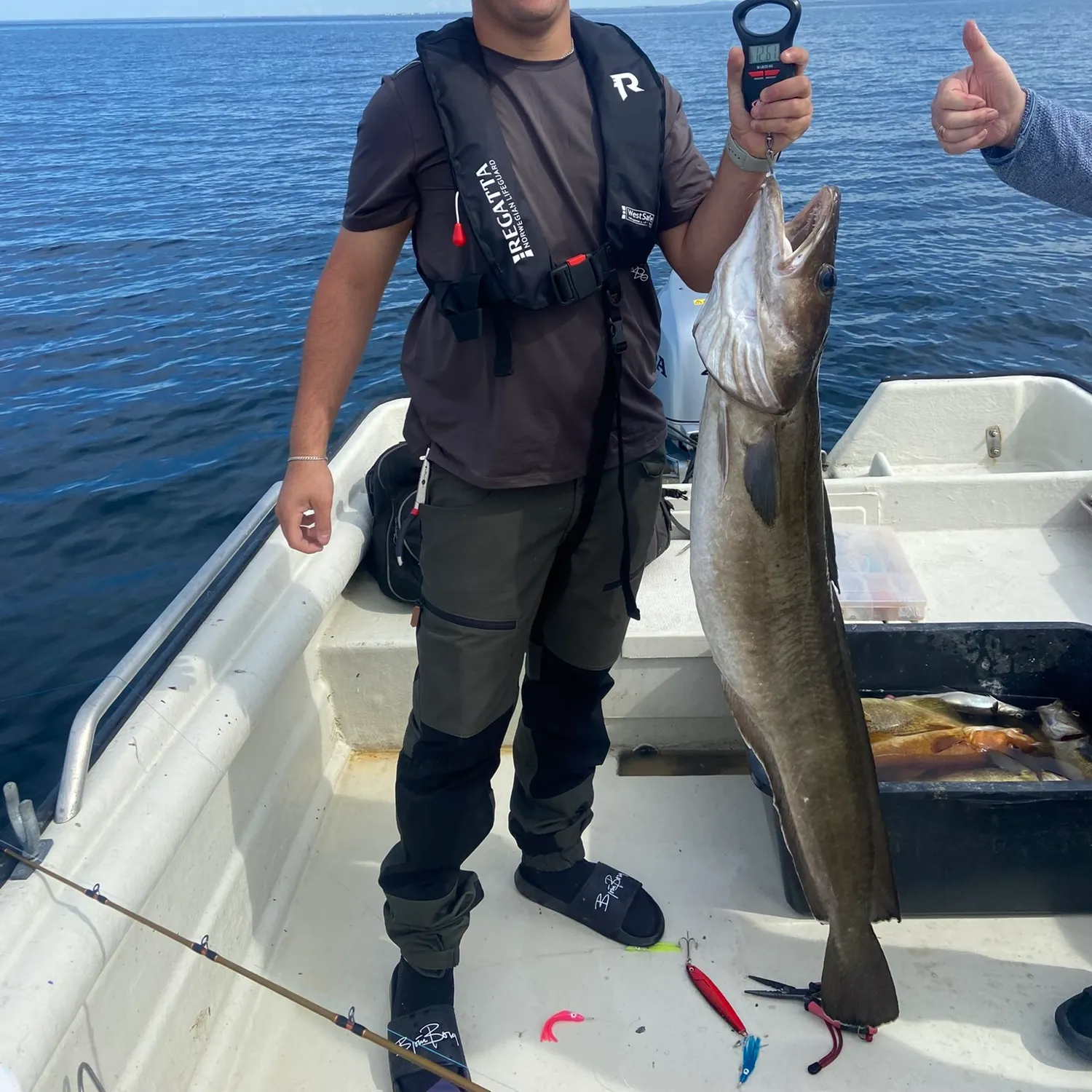 The most recent Common ling catches on Fishbrain