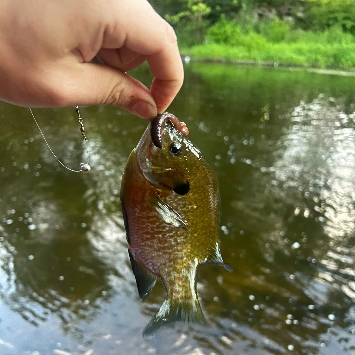 catch