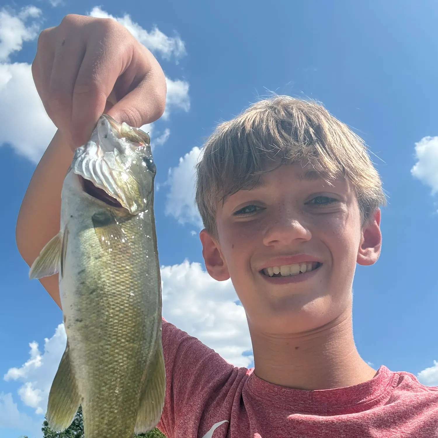 Smallmouth bass caught on Fishbrain