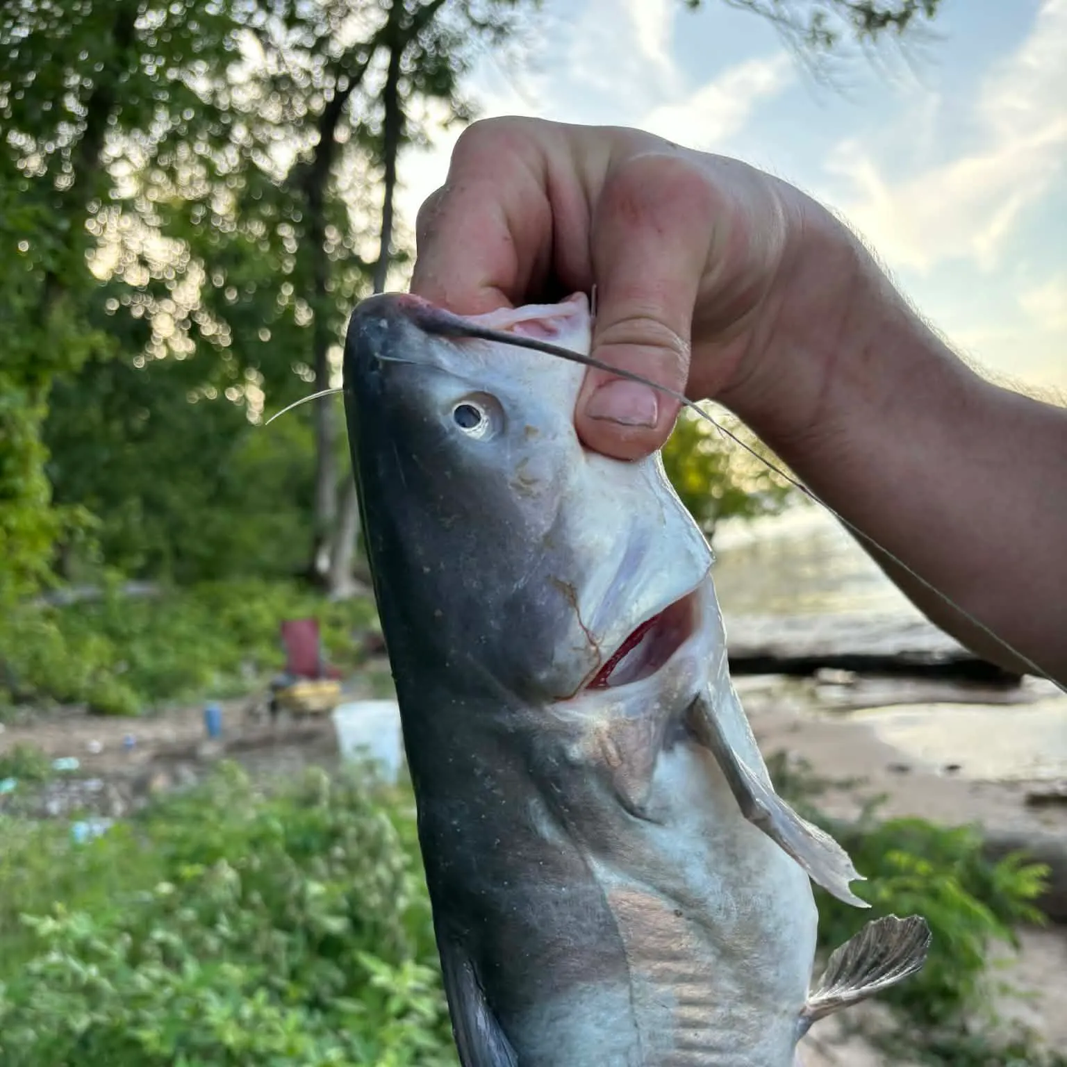 catch