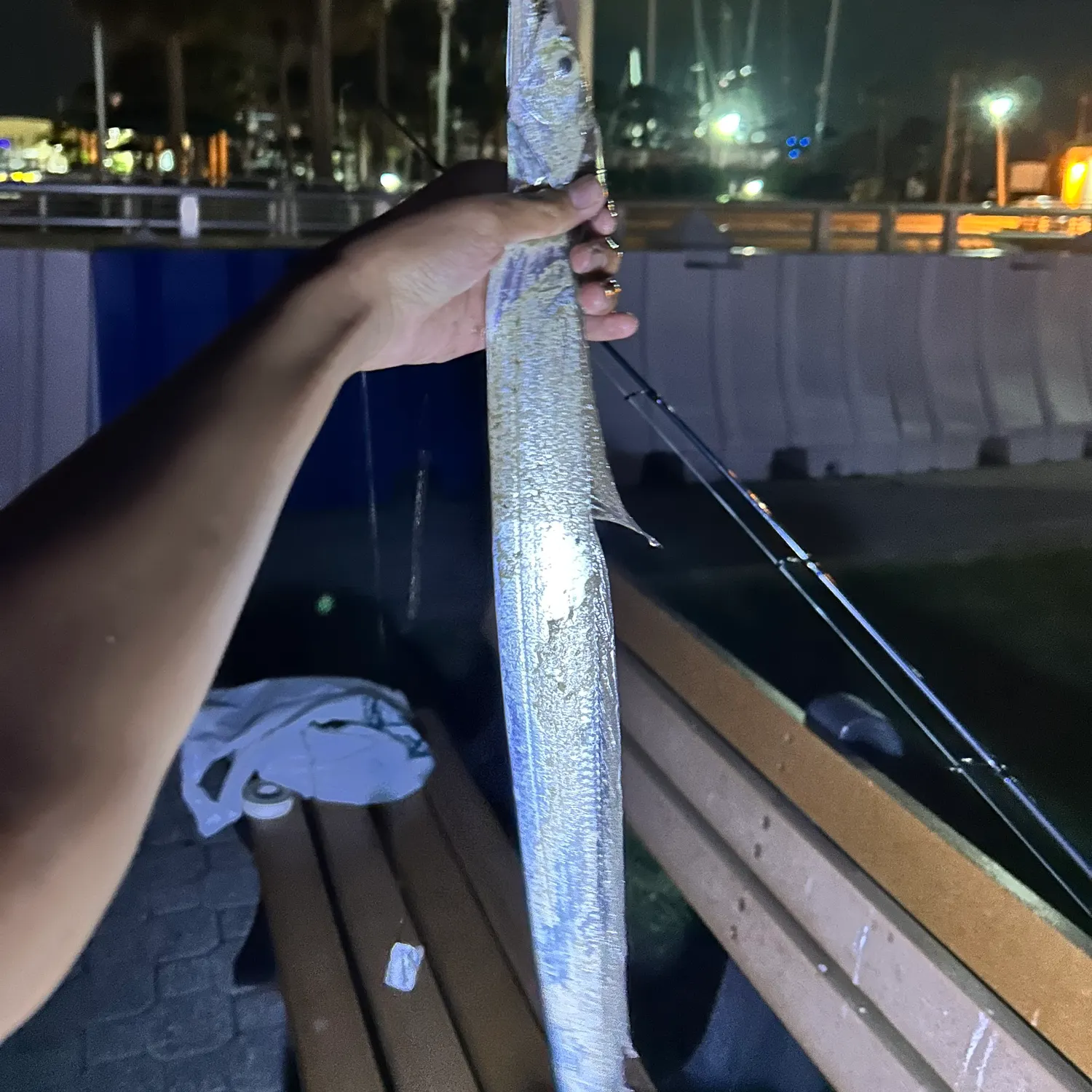 The most recent Silver scabbardfish catches on Fishbrain