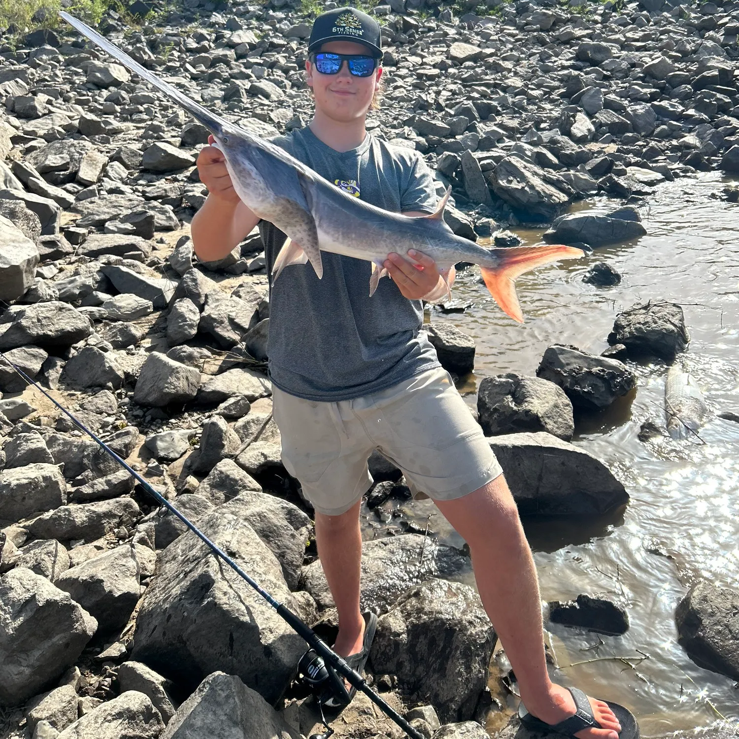 The most recent Paddlefish catches on Fishbrain