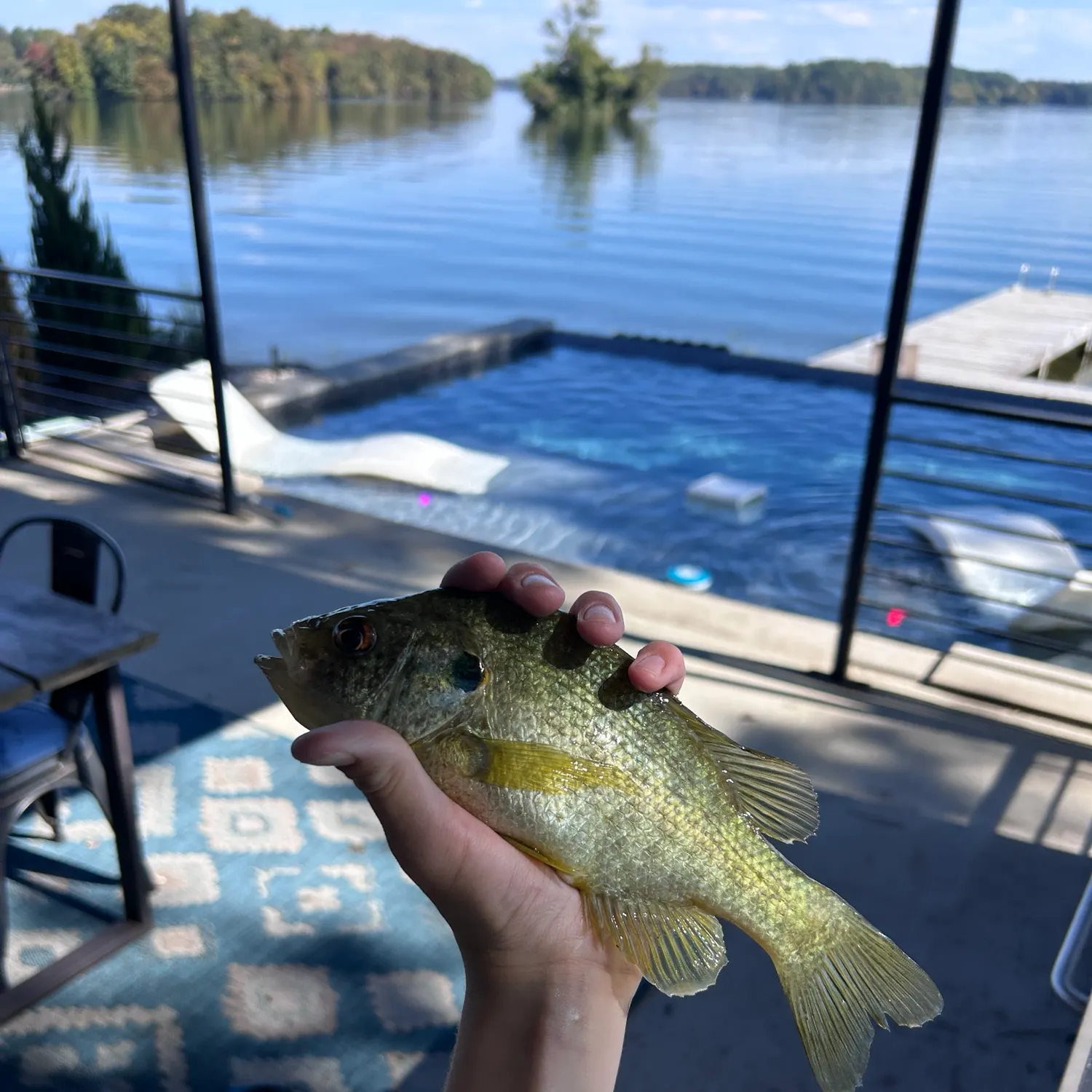 Redear sunfish caught on Fishbrain