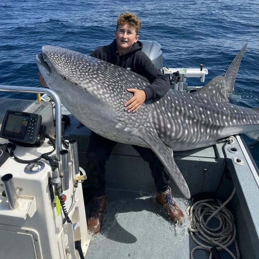 Skipjack tuna caught on Fishbrain