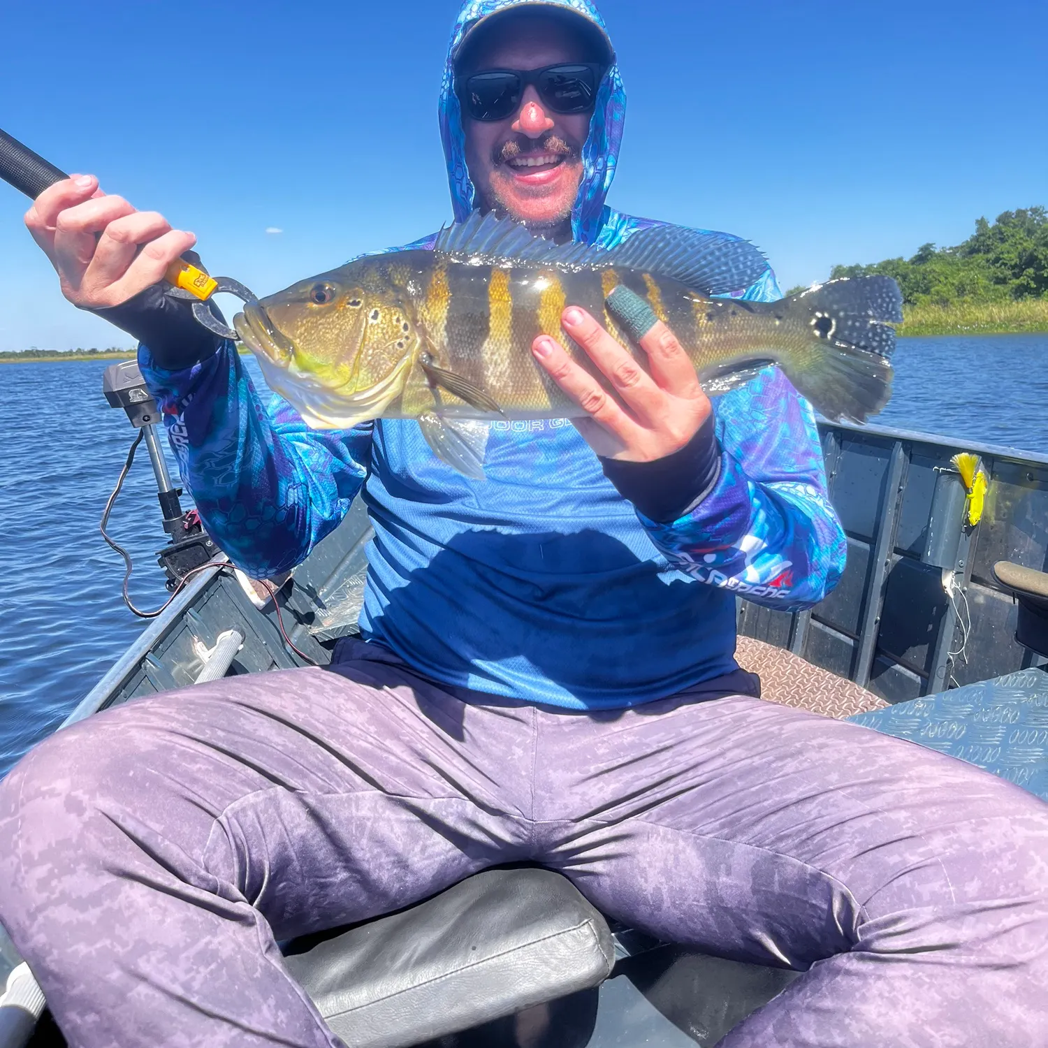 The most recent Blue peacock bass catches on Fishbrain