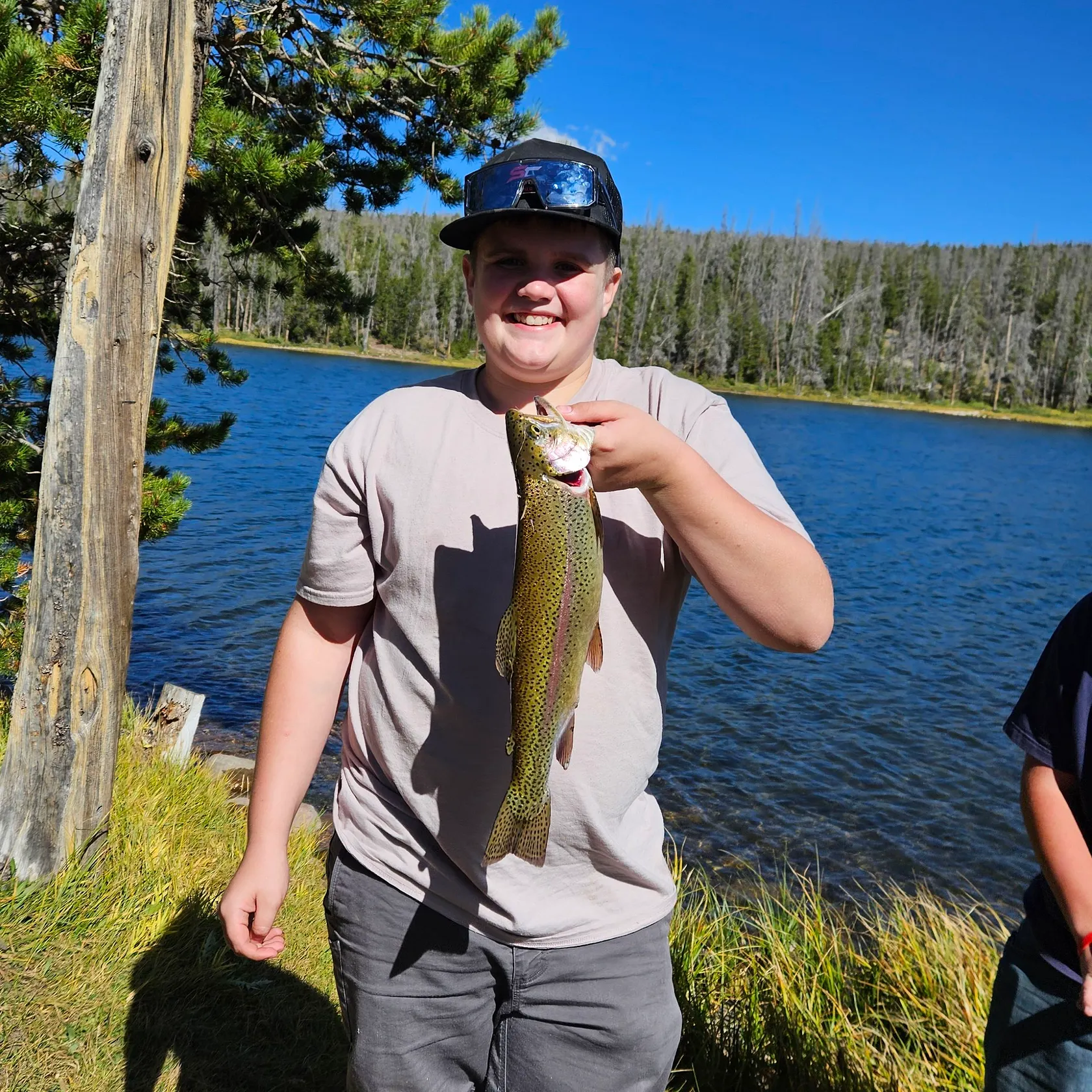 Rainbow trout caught on Fishbrain