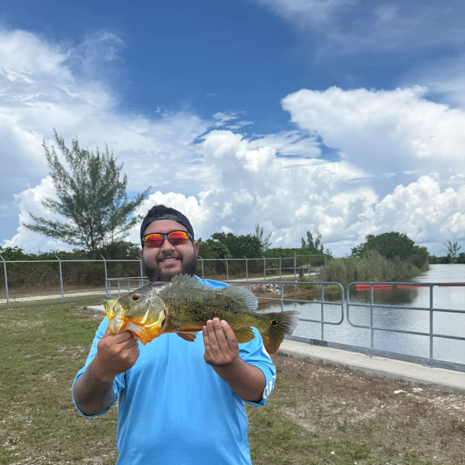 Butterfly peacock bass caught on Fishbrain