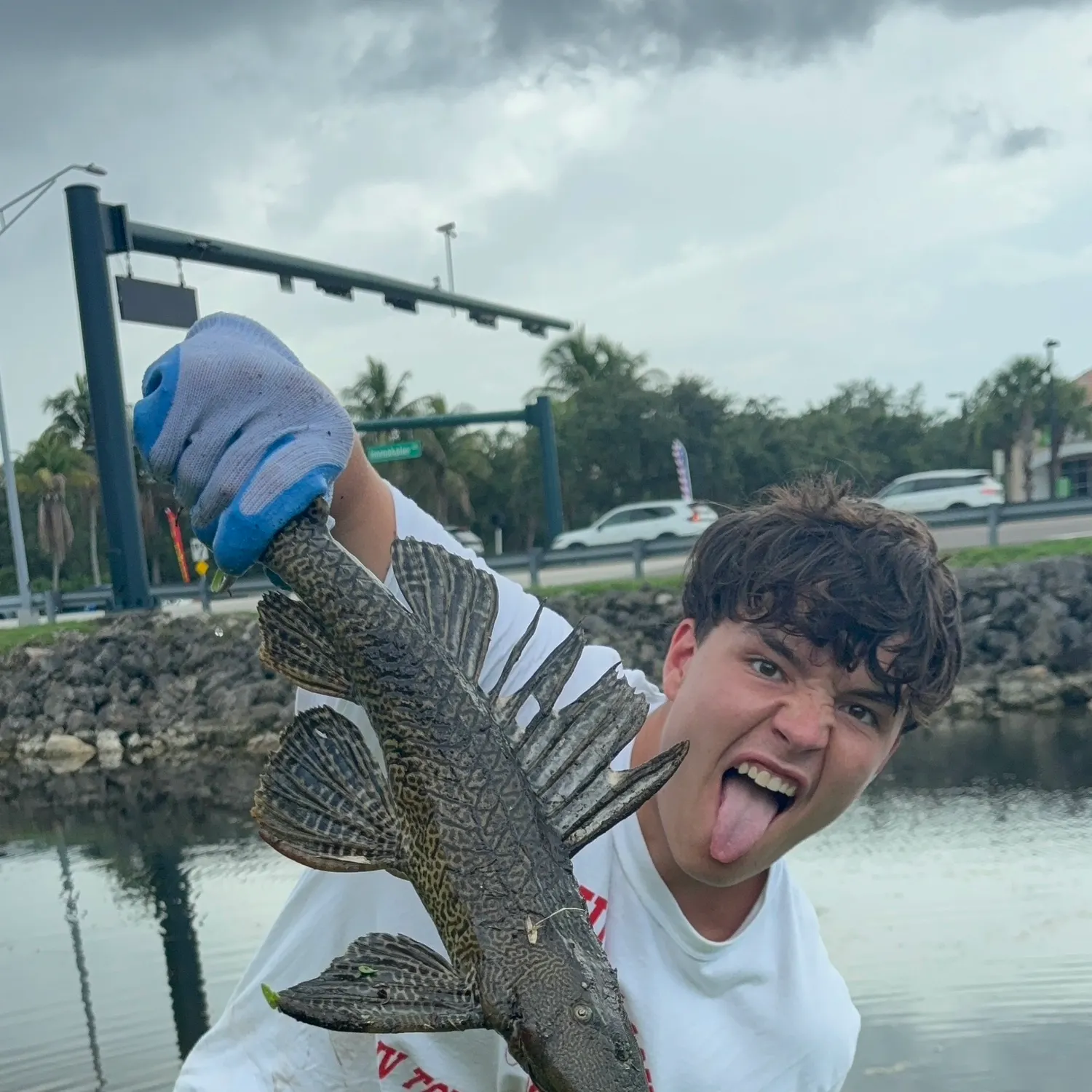 catch