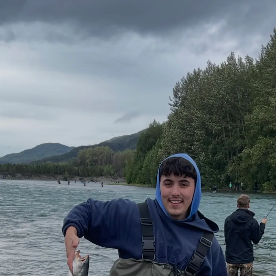 The most recent Dolly varden catches on Fishbrain