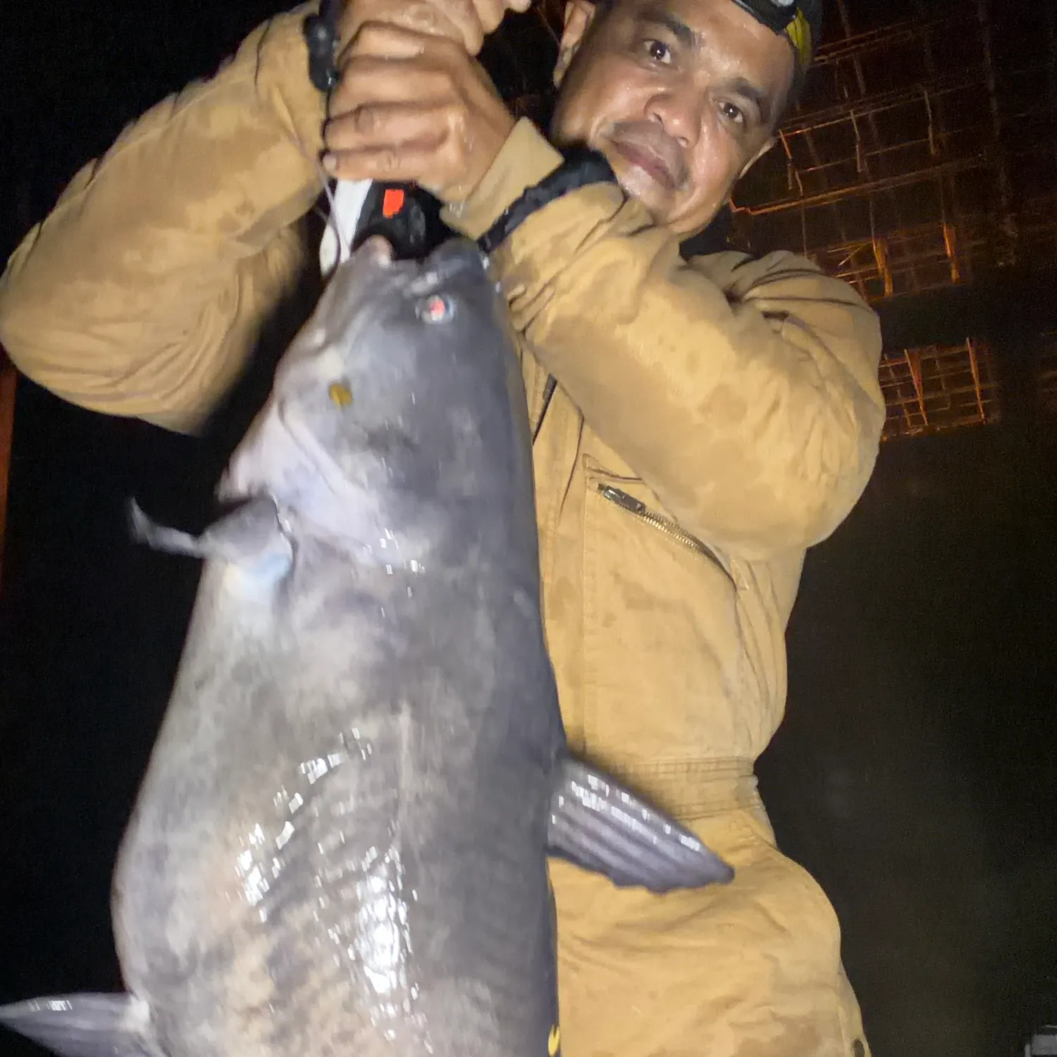 Blue catfish caught on Fishbrain