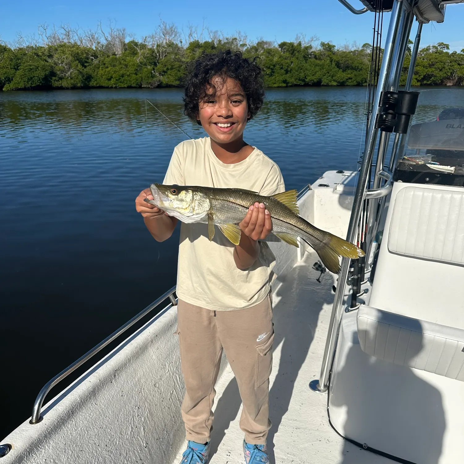 The most recent Common snook catches on Fishbrain