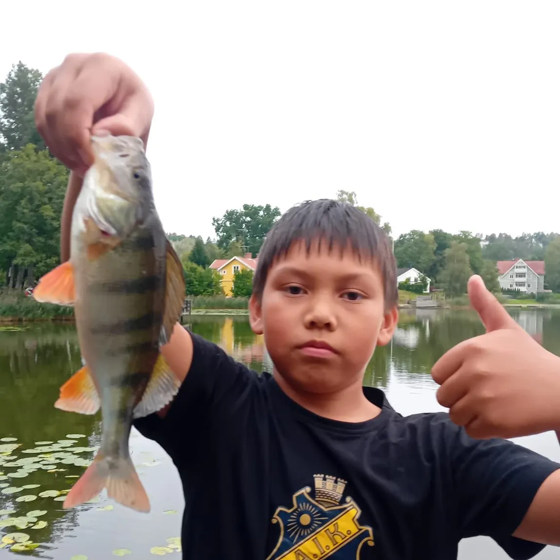 European perch caught on Fishbrain