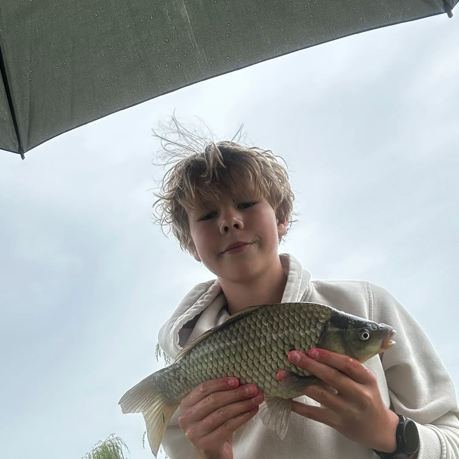 Common carp caught on Fishbrain
